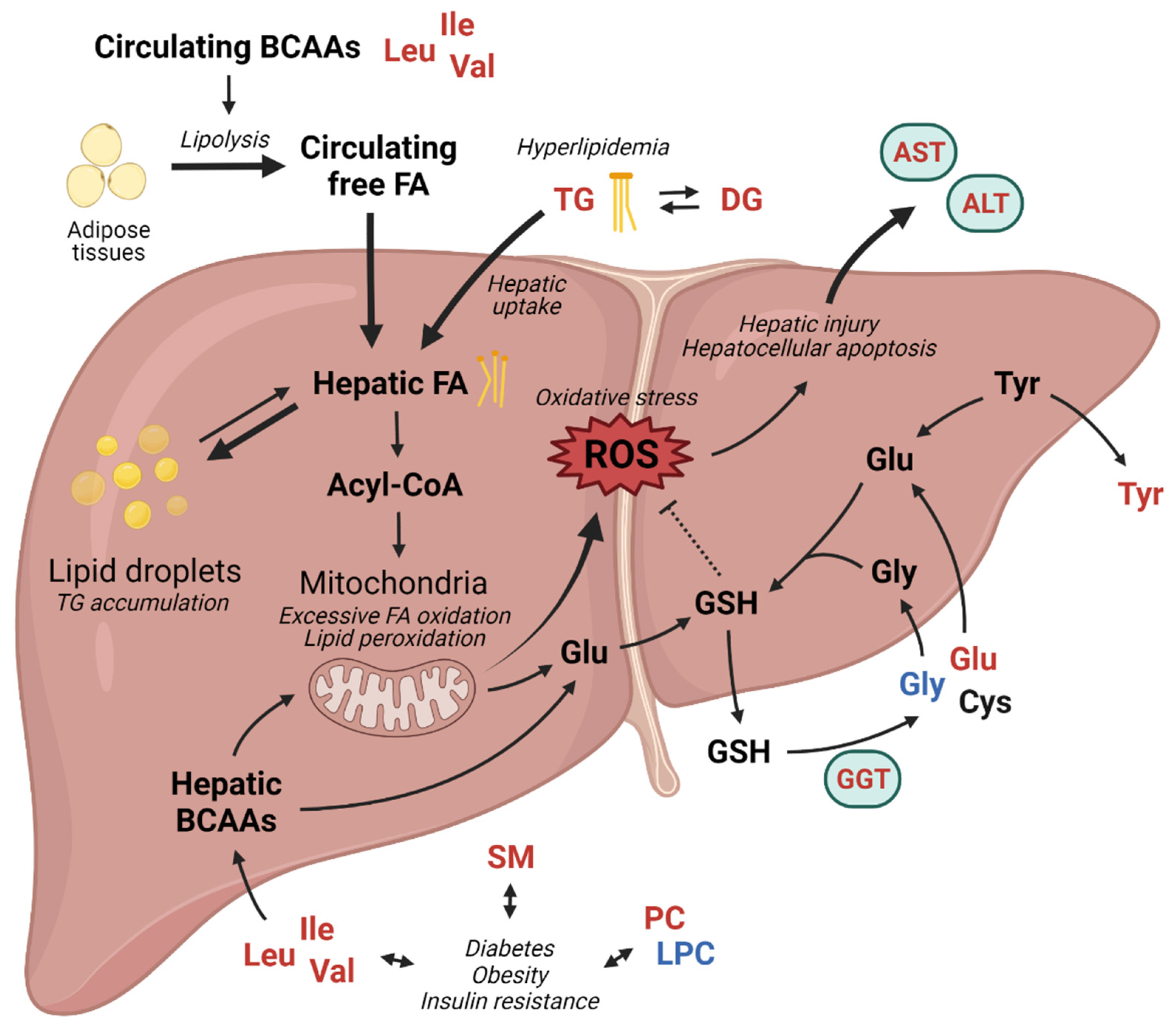Metabolites 12 00881 g005 Metabolites 12 00881 g005