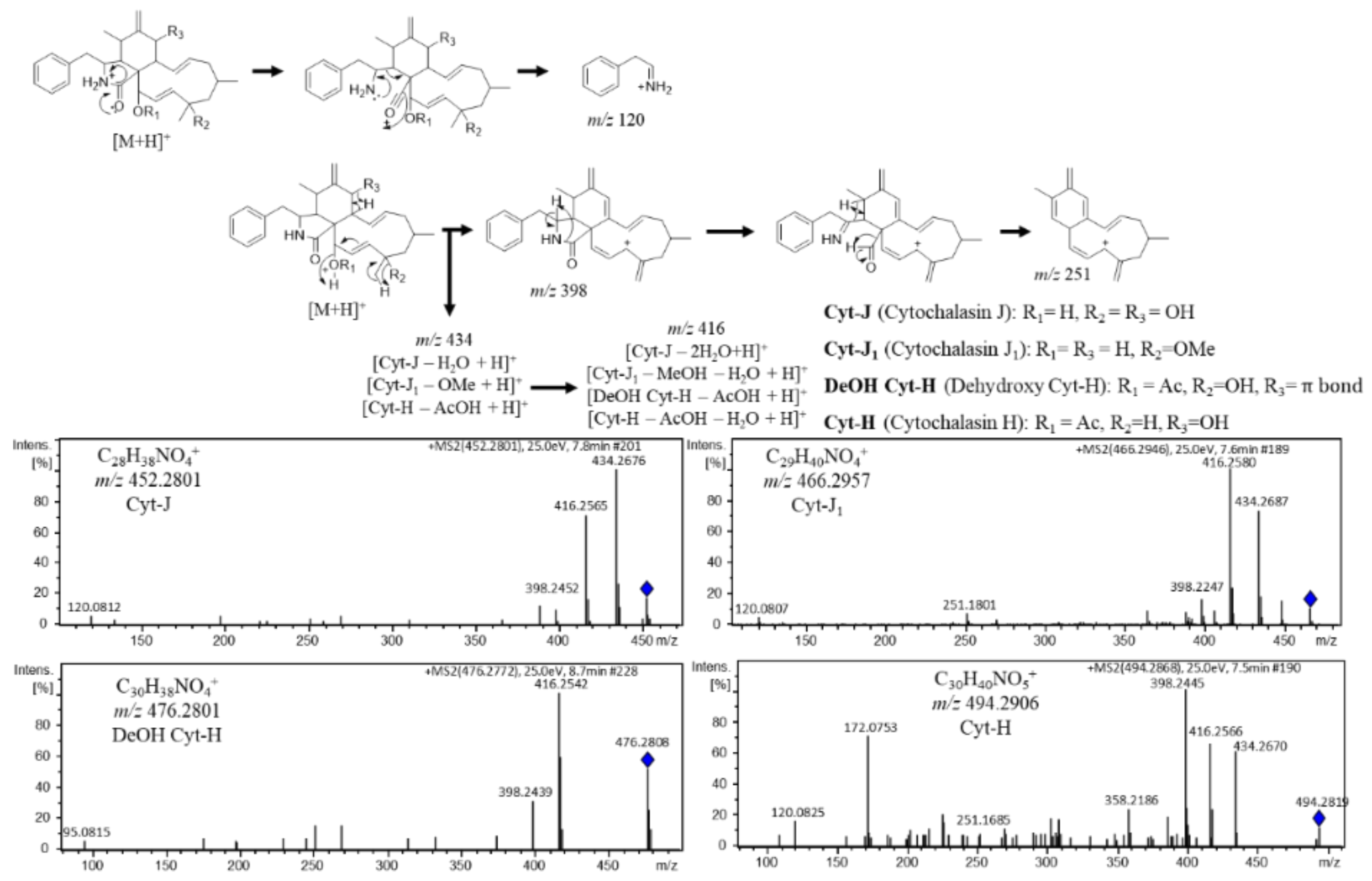 Metabolites 12 00903 g002 Metabolites 12 00903 g002