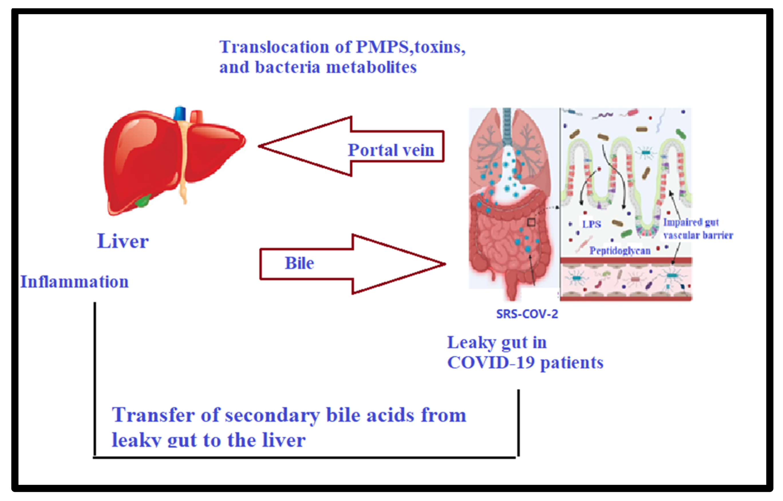 Metabolites 12 00912 g001