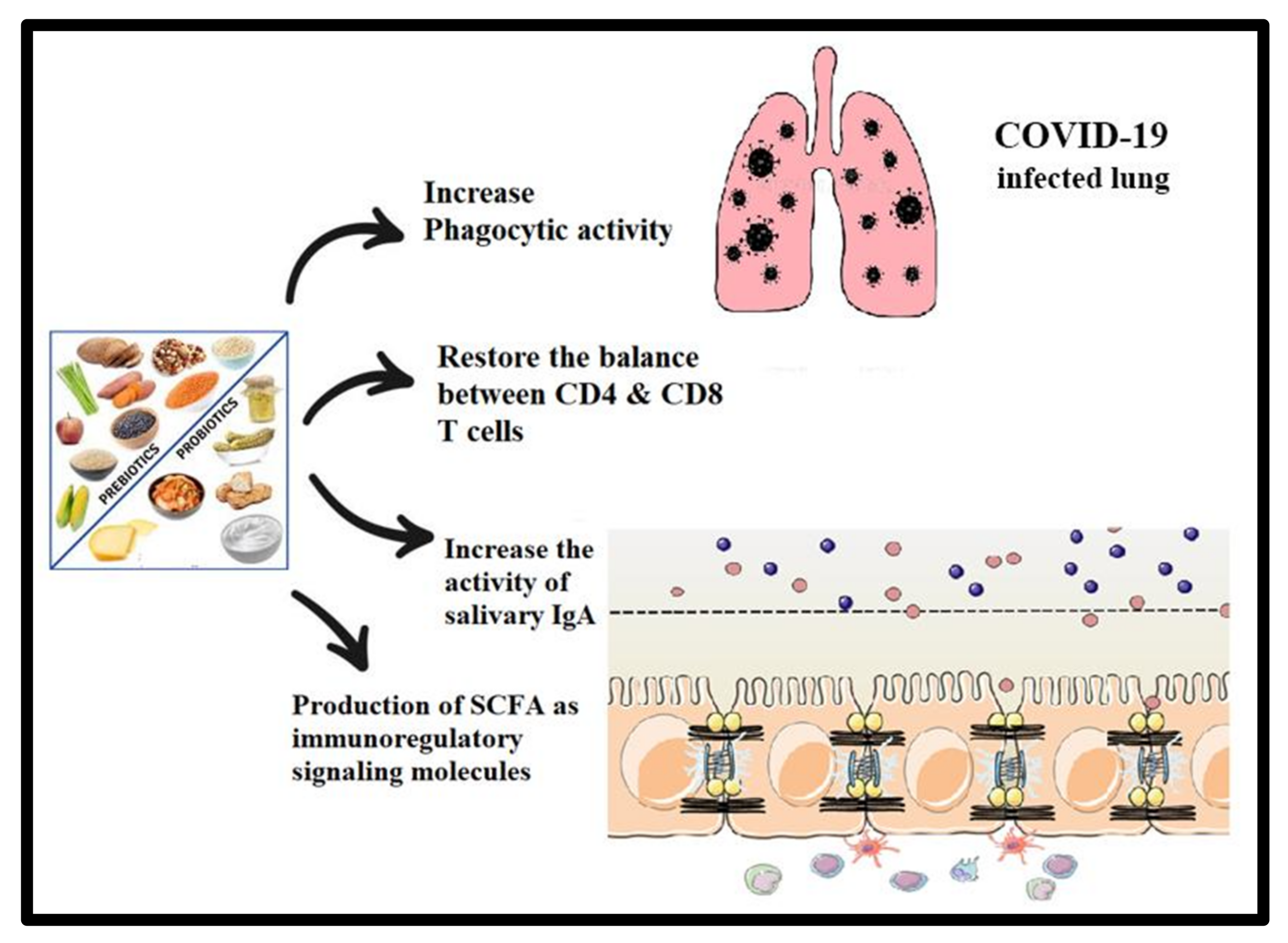 Metabolites 12 00912 g005