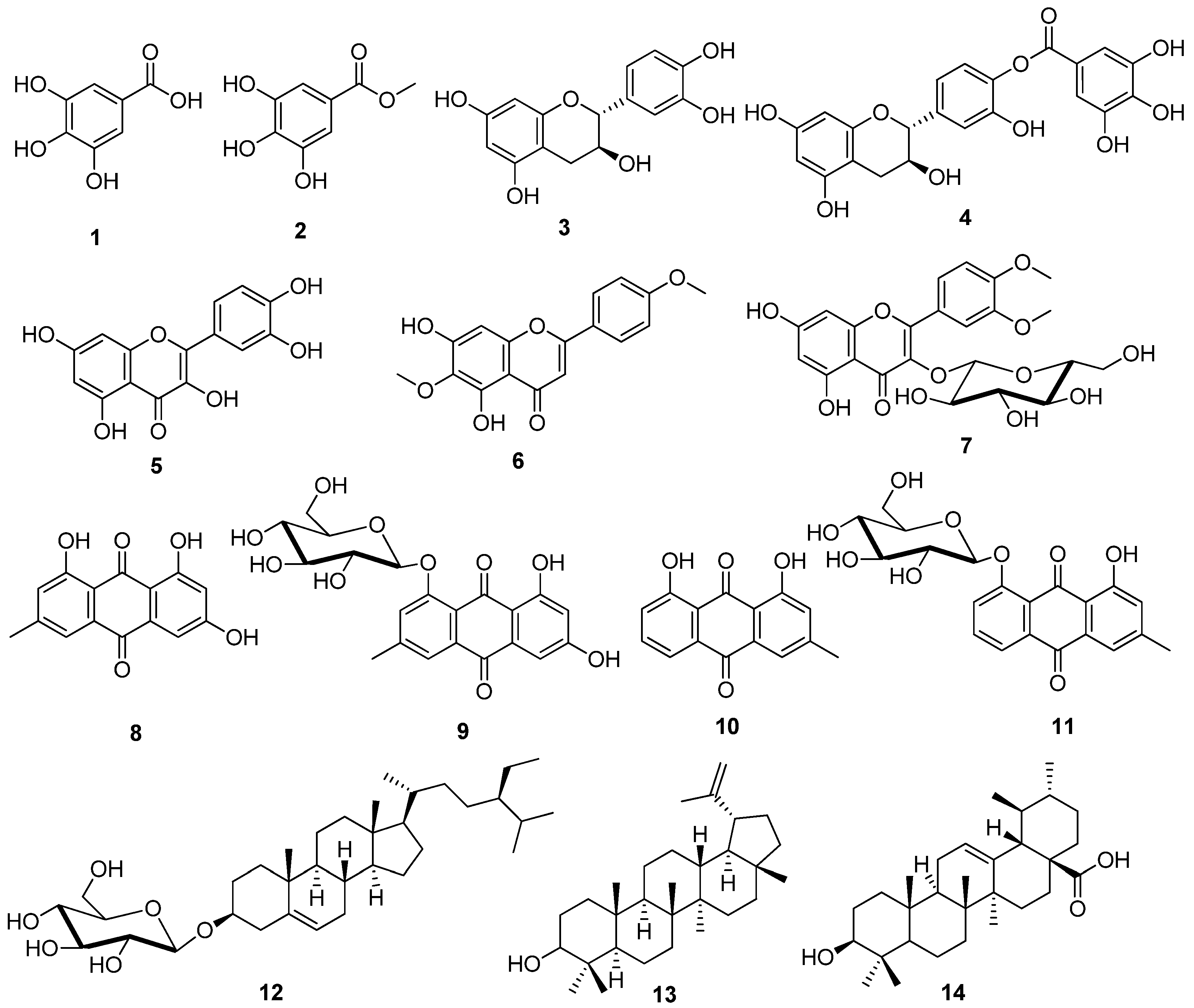 Metabolites 12 00921 g001