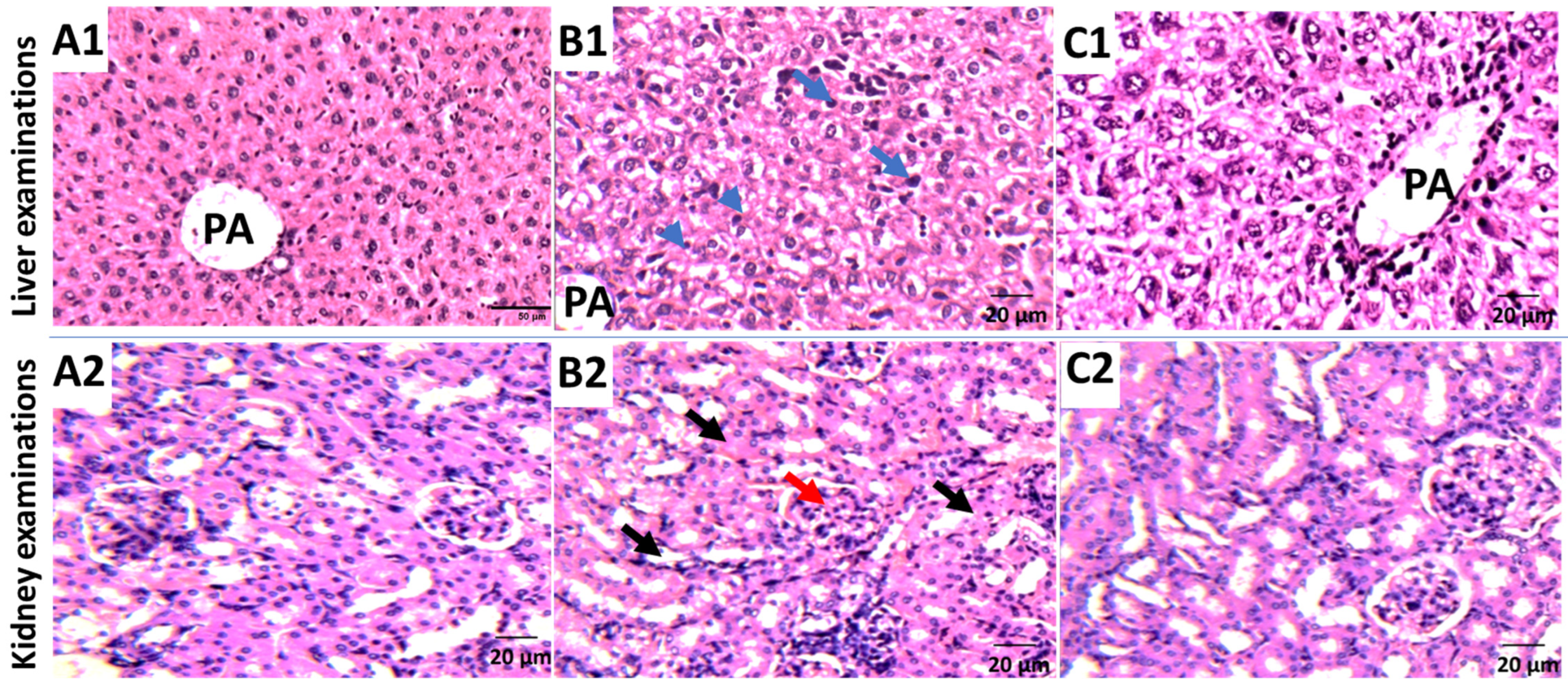 Metabolites 12 00921 g007