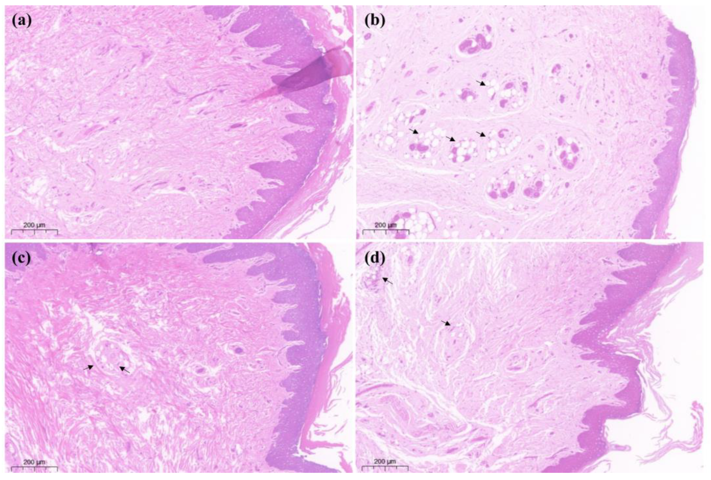 Metabolites 12 00923 g003