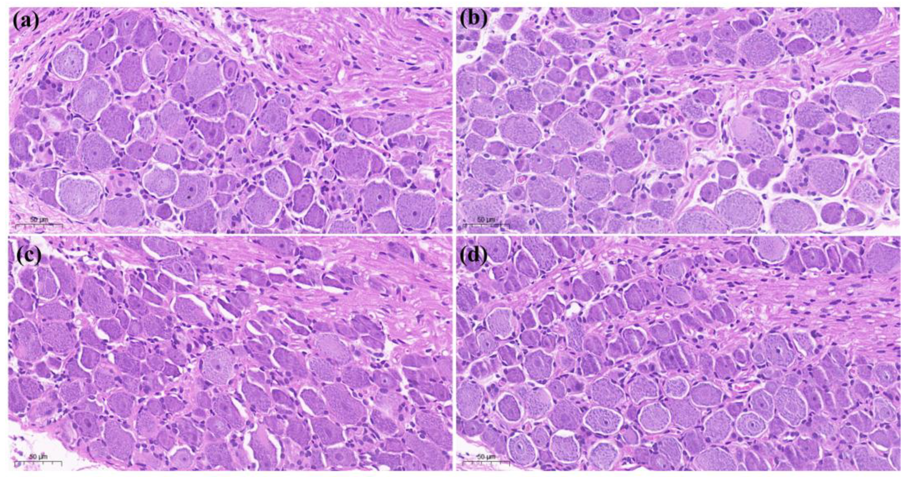 Metabolites 12 00923 g005
