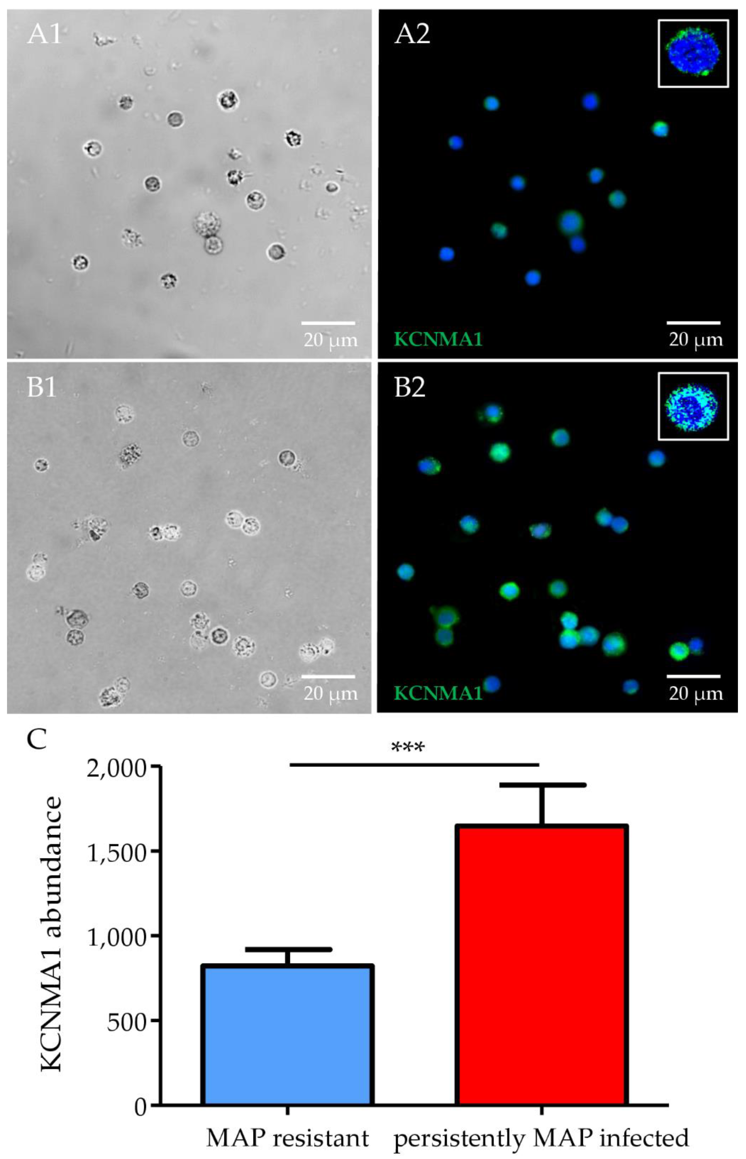 Metabolites 12 00924 g004 Metabolites 12 00924 g004