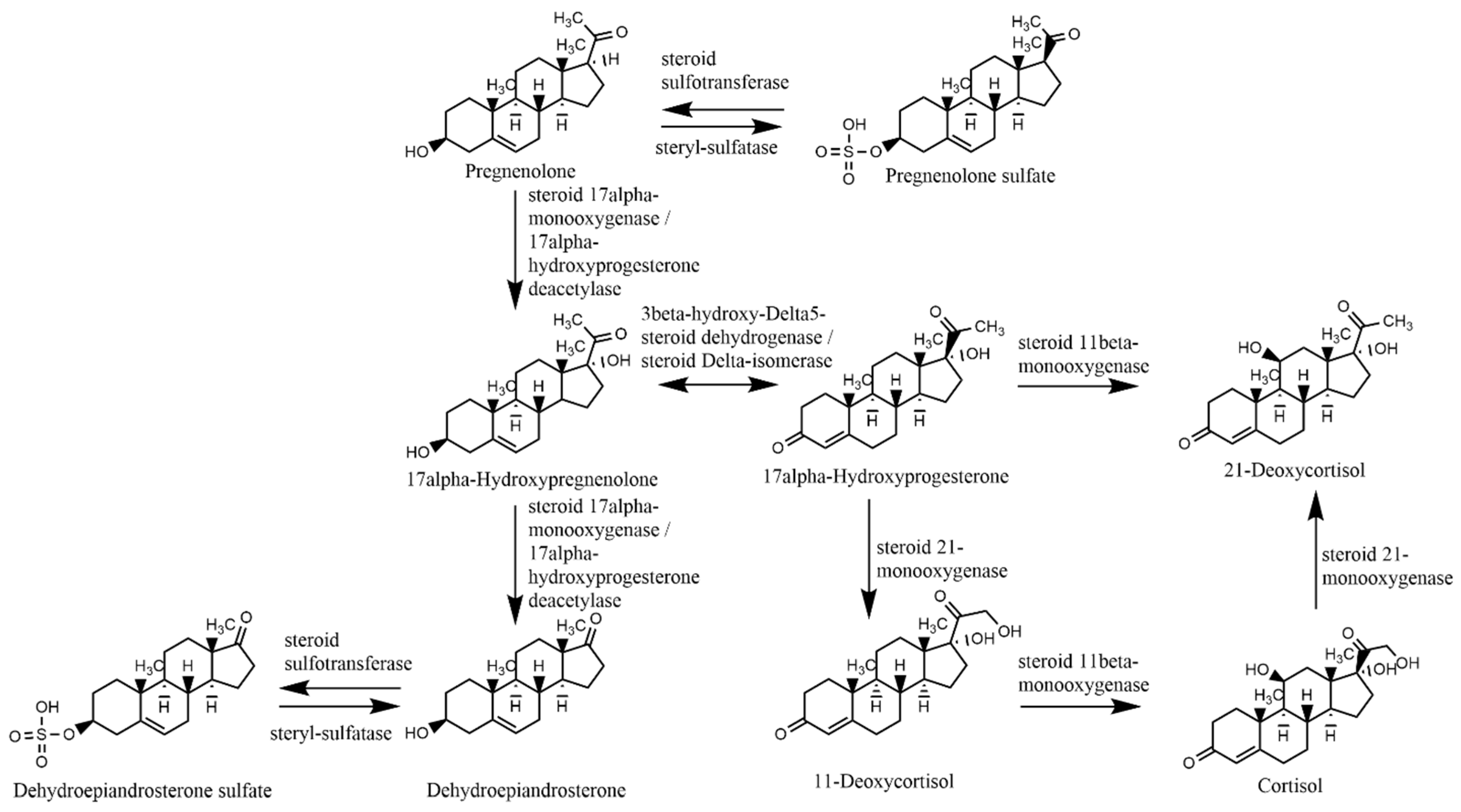 Metabolites 12 00941 g001