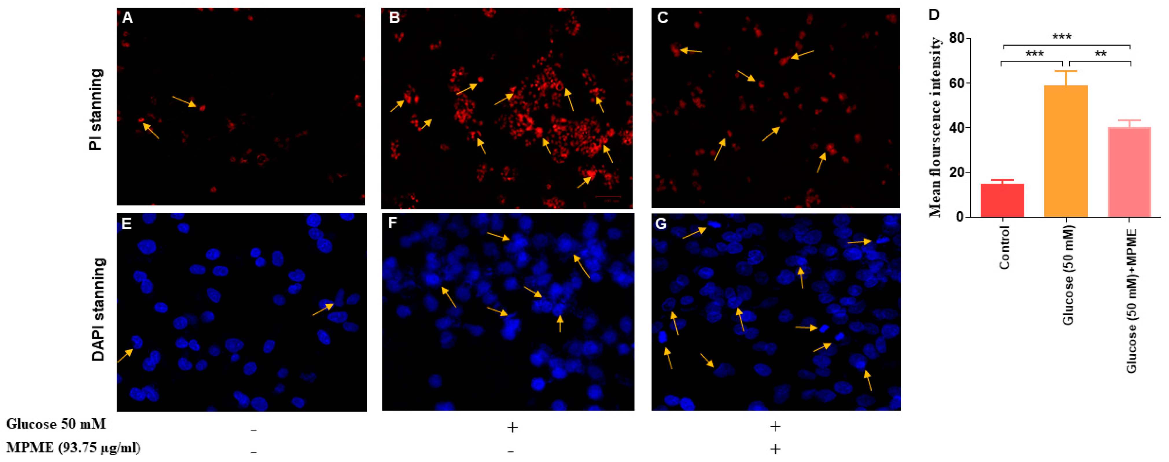 Metabolites 12 00947 g005 Metabolites 12 00947 g005