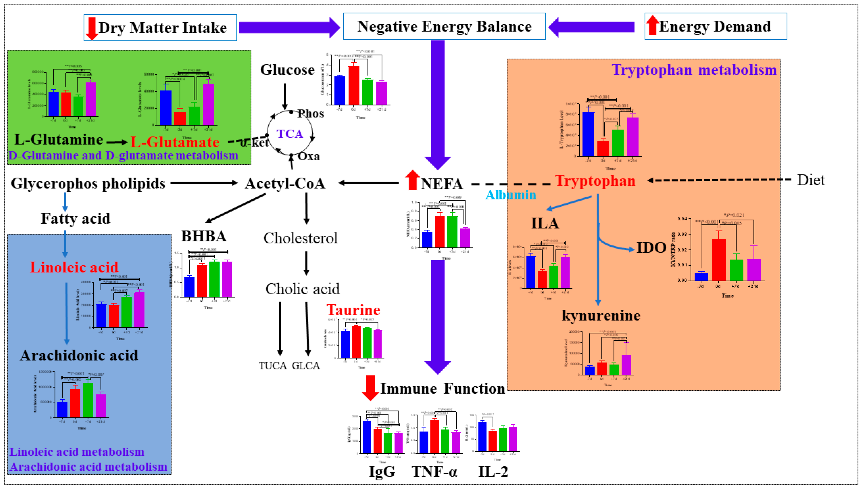 Metabolites 12 00953 g010 Metabolites 12 00953 g010