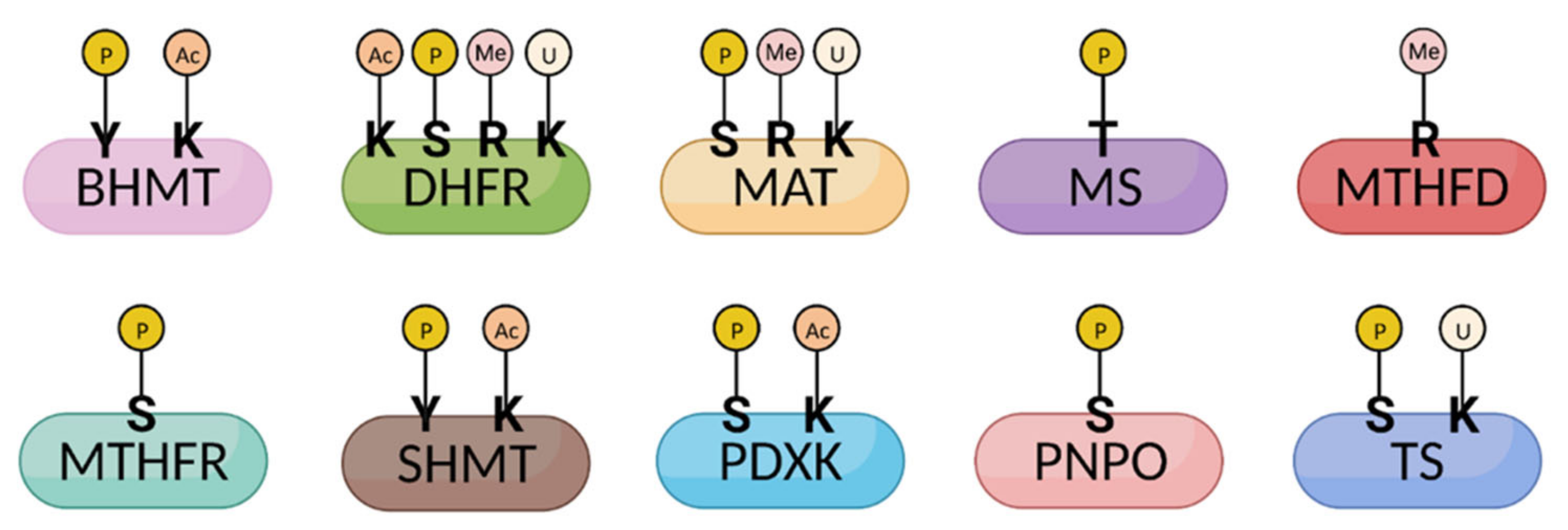 Metabolites 12 00961 g003