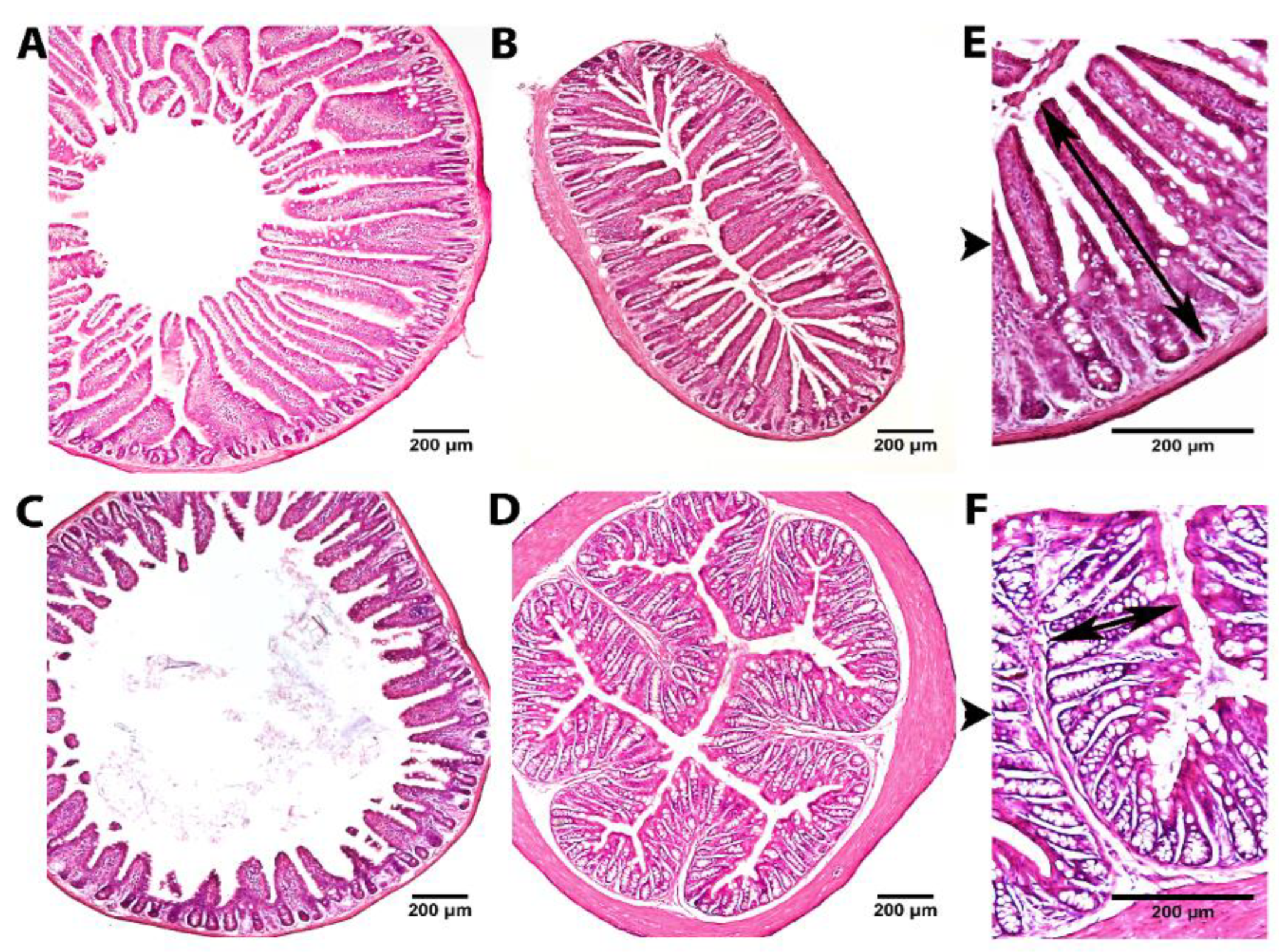 Metabolites 12 01027 g002 Metabolites 12 01027 g002