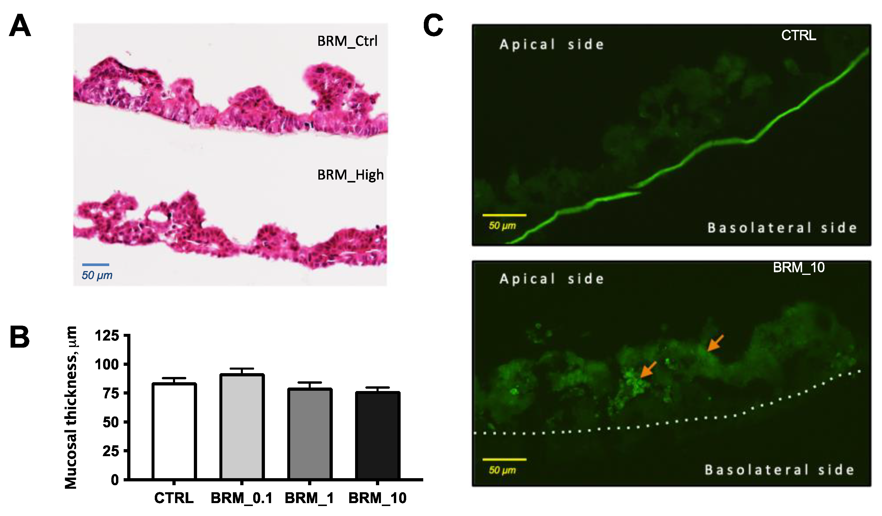 Metabolites 12 01027 g006 Metabolites 12 01027 g006
