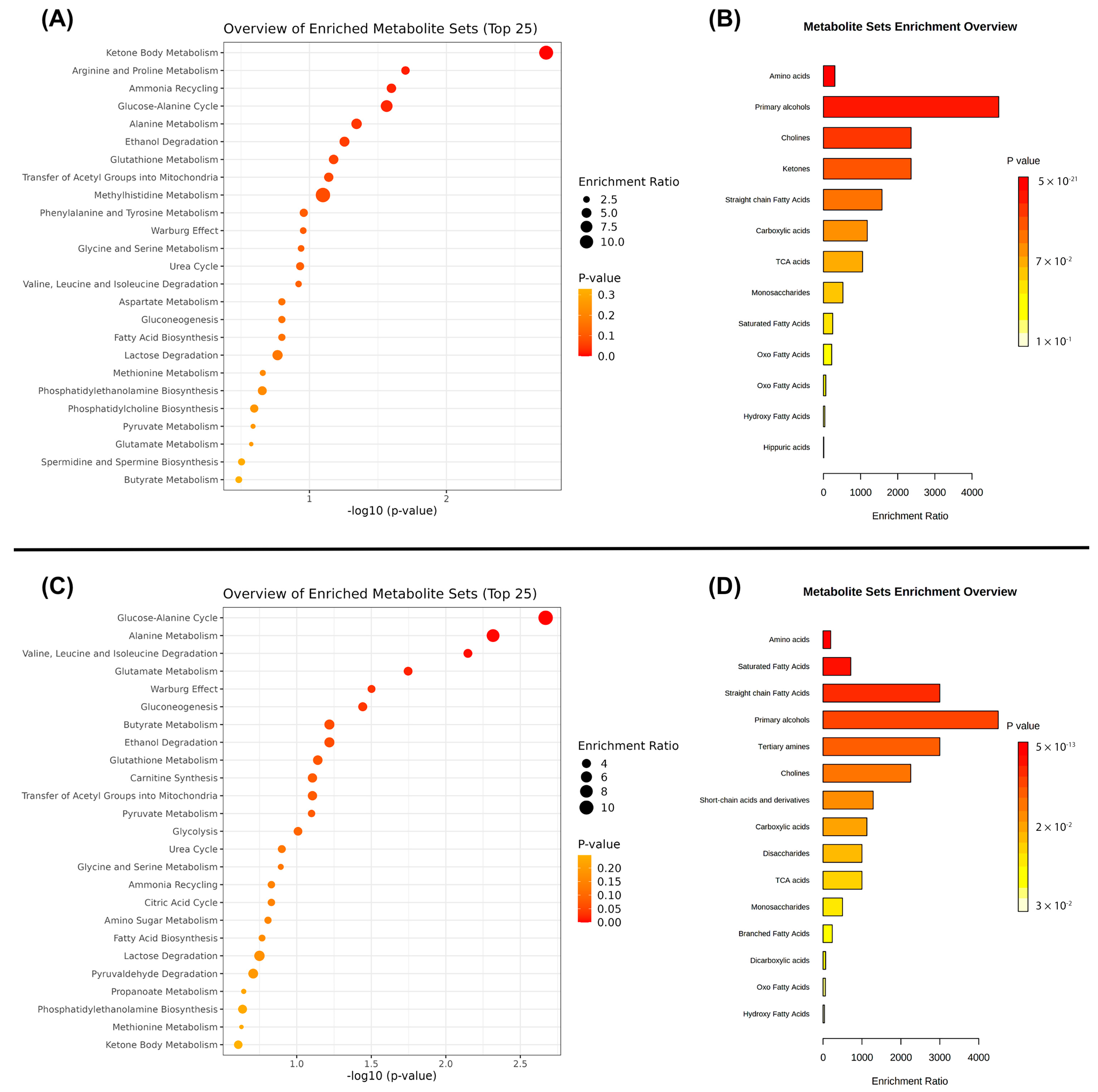 Metabolites 12 01029 g005