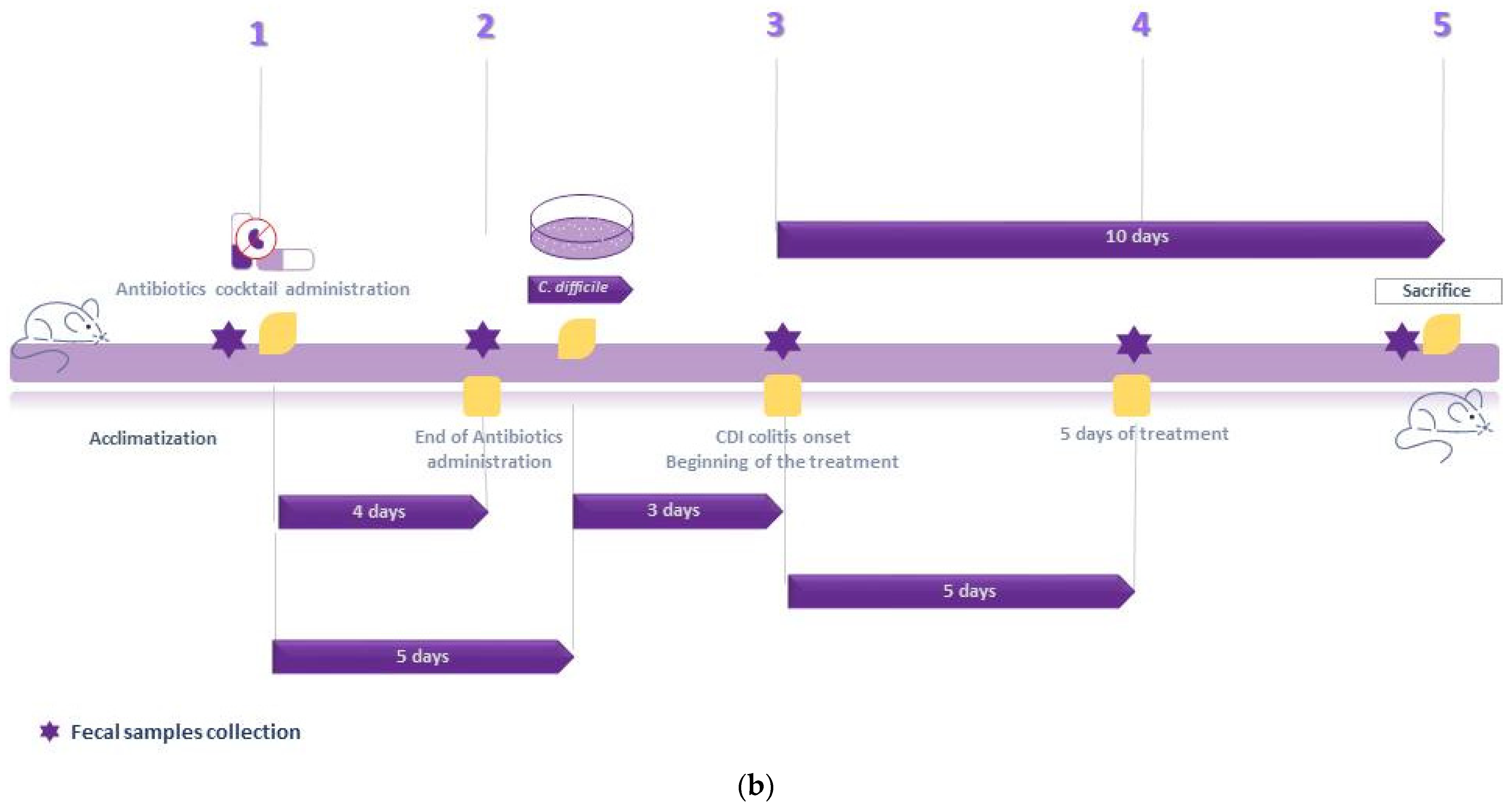 Metabolites 12 01039 g001b Metabolites 12 01039 g001b