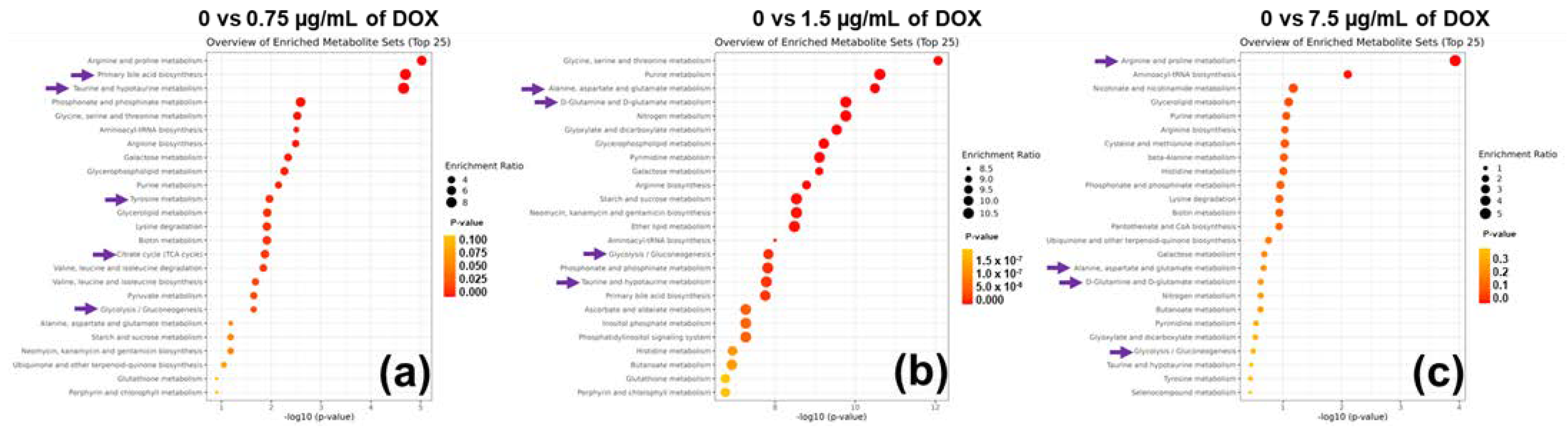 Metabolites 12 01047 g006