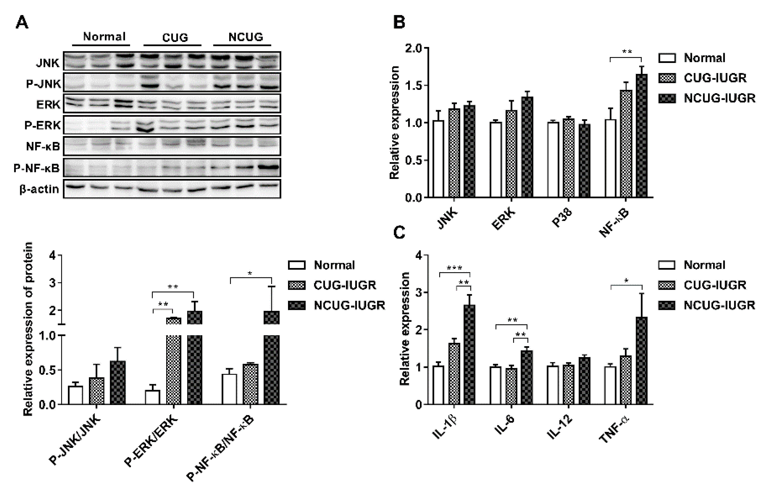 Metabolites 12 01053 g008