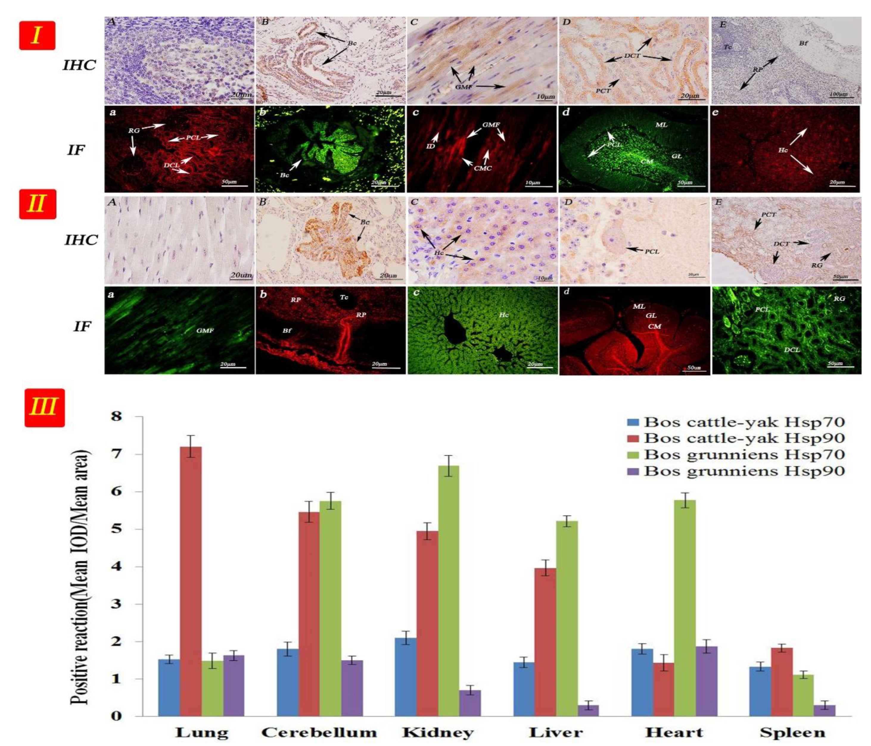 Metabolites 12 01114 g005