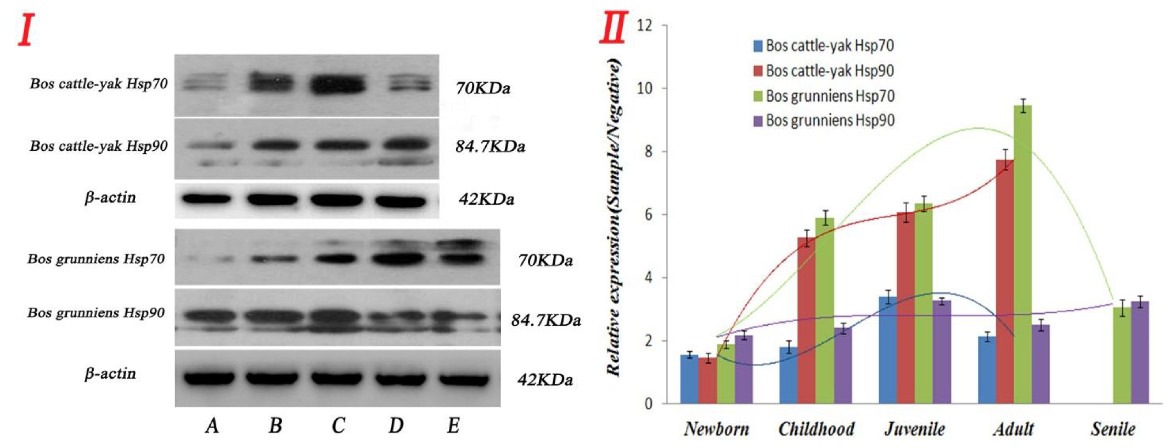 Metabolites 12 01114 g006