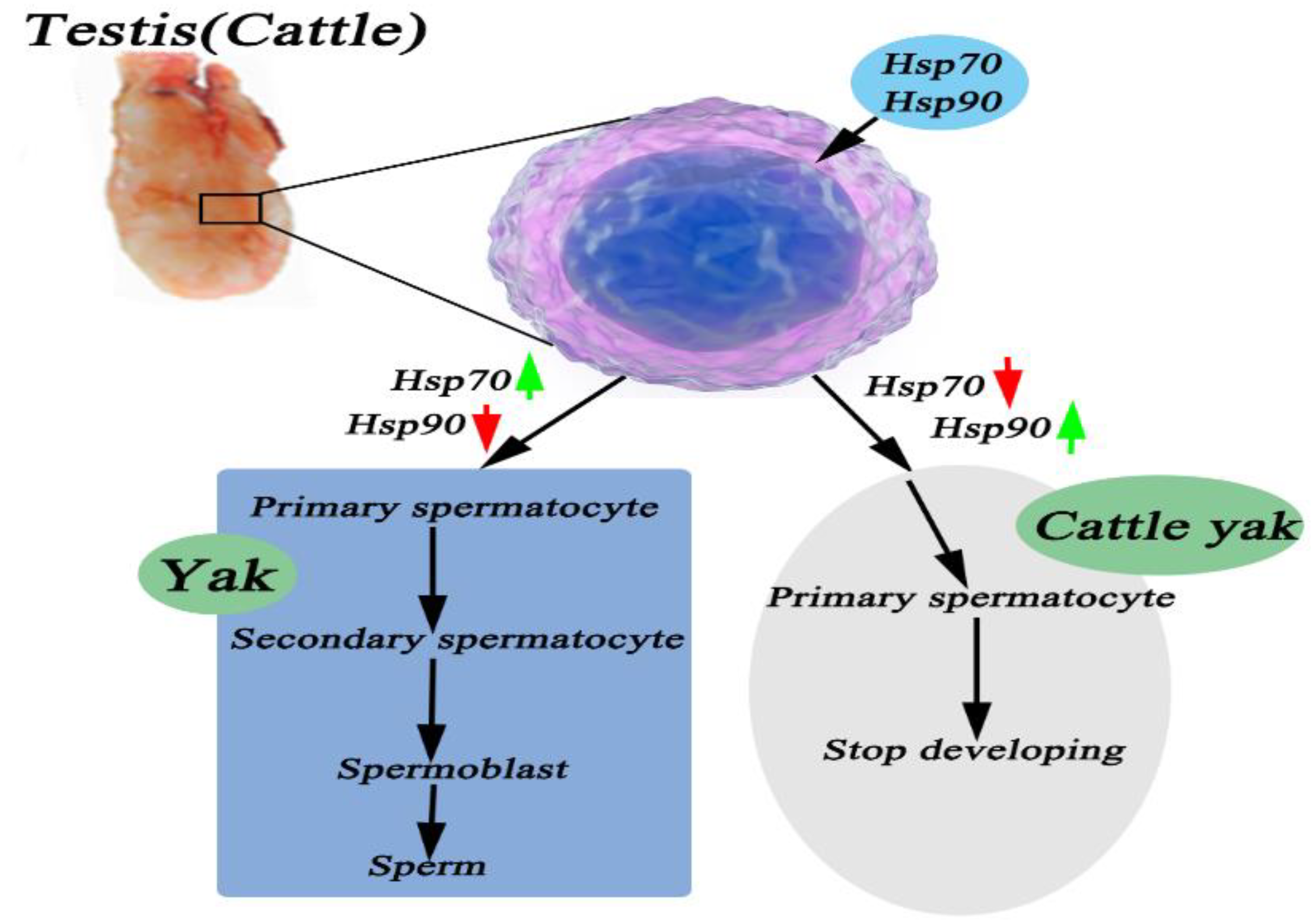 Metabolites 12 01114 g008