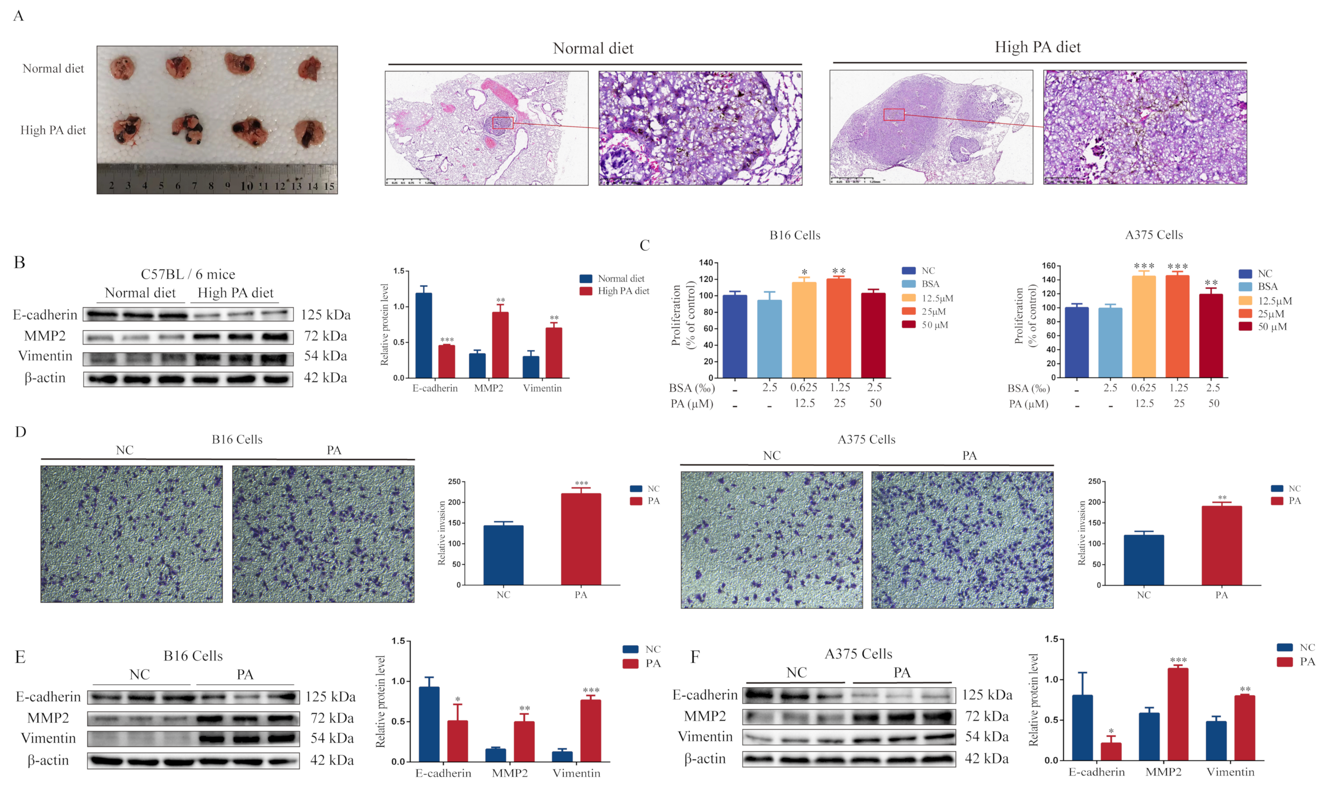 Metabolites 12 01132 g001 Metabolites 12 01132 g001