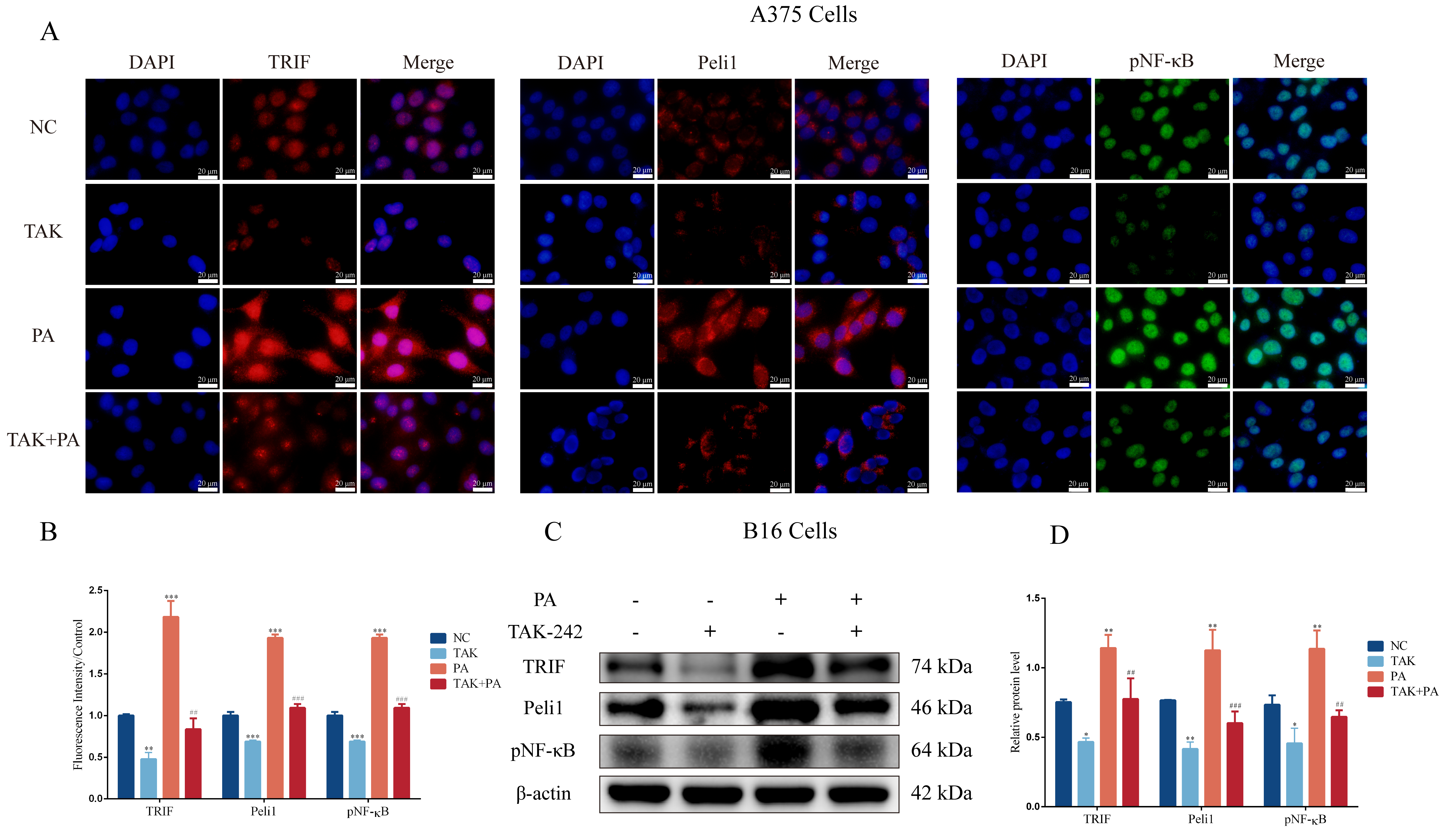 Metabolites 12 01132 g005 Metabolites 12 01132 g005
