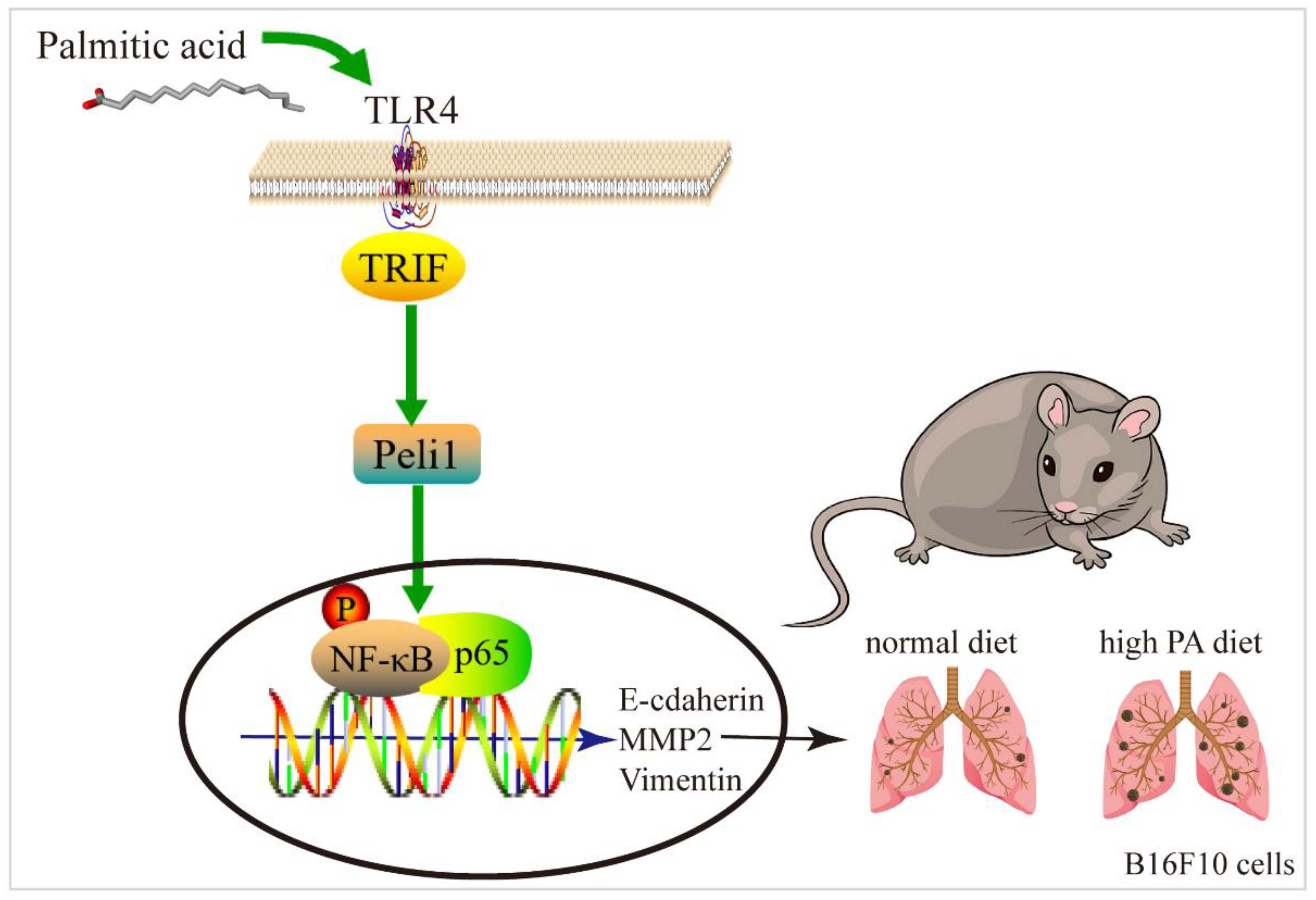 Metabolites 12 01132 g008 Metabolites 12 01132 g008