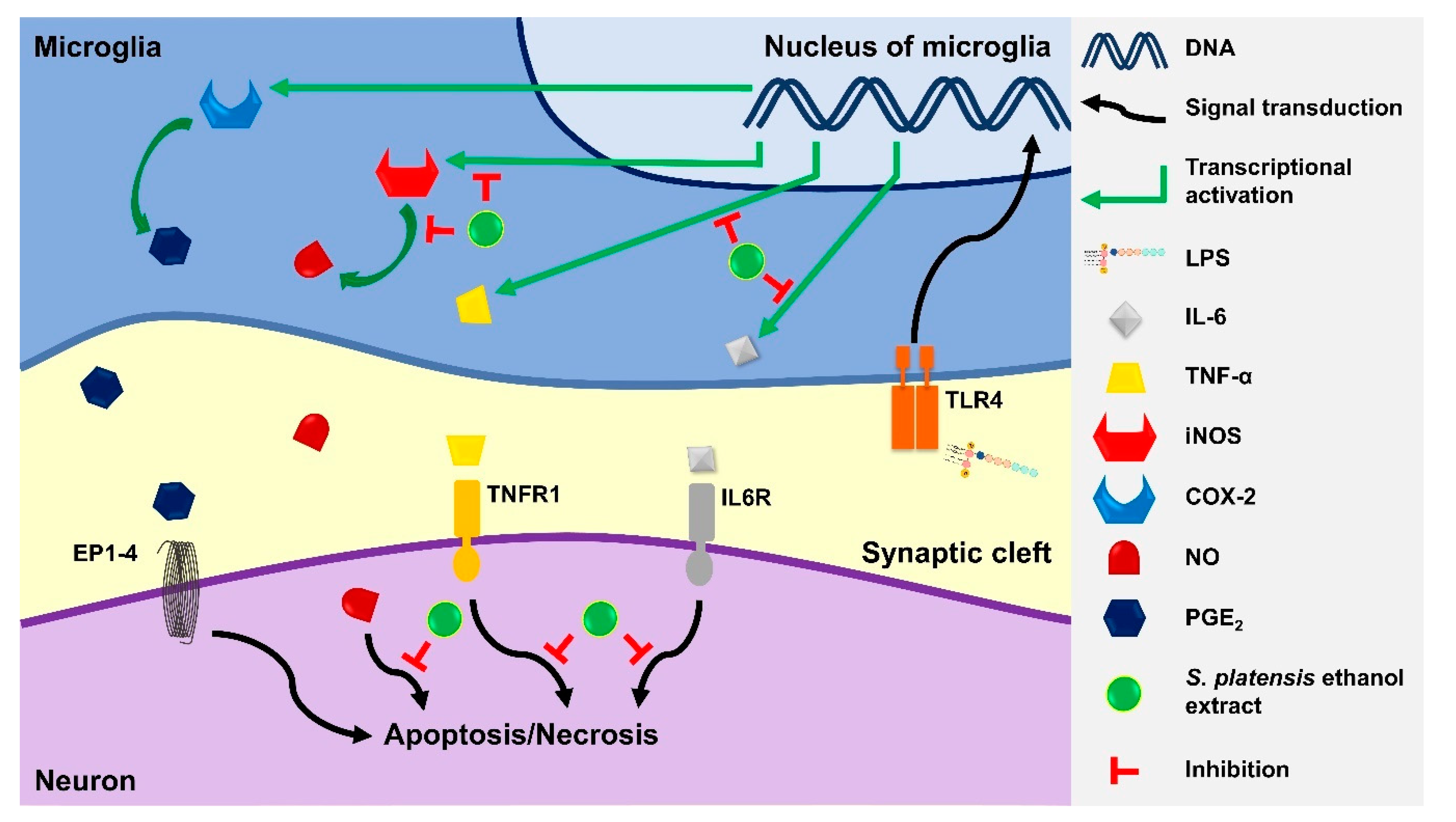 Metabolites 12 01147 g006 Metabolites 12 01147 g006