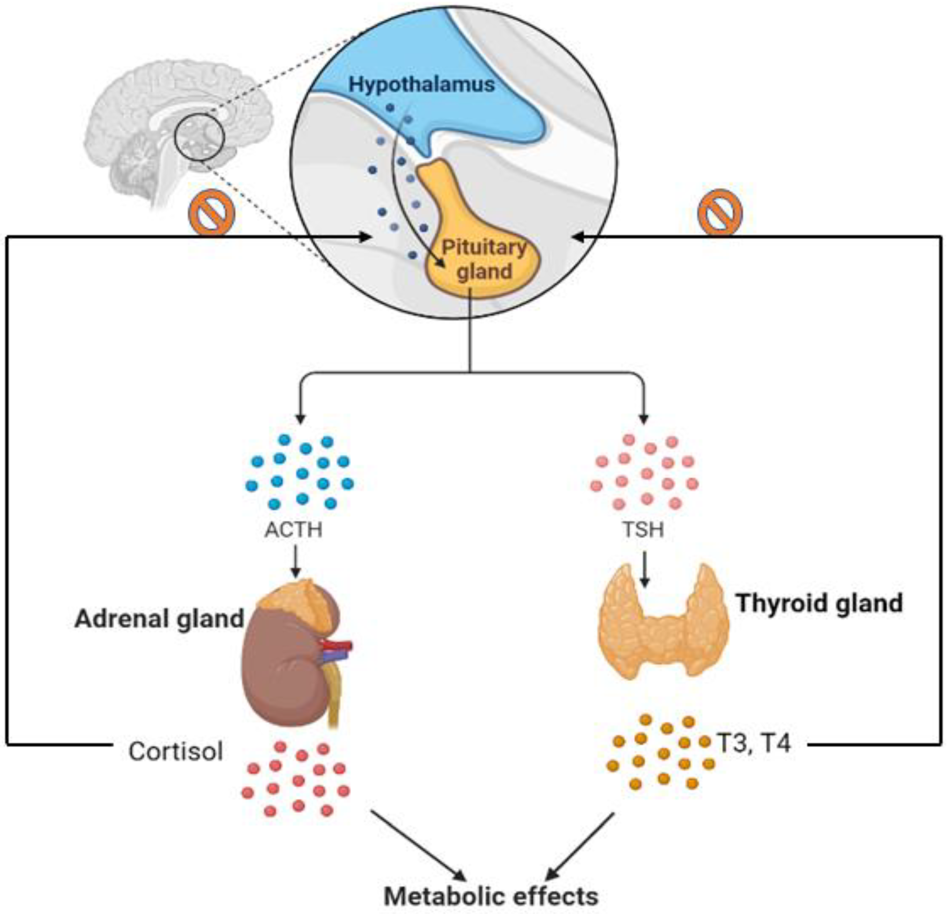 Metabolites 12 01154 g004 Metabolites 12 01154 g004