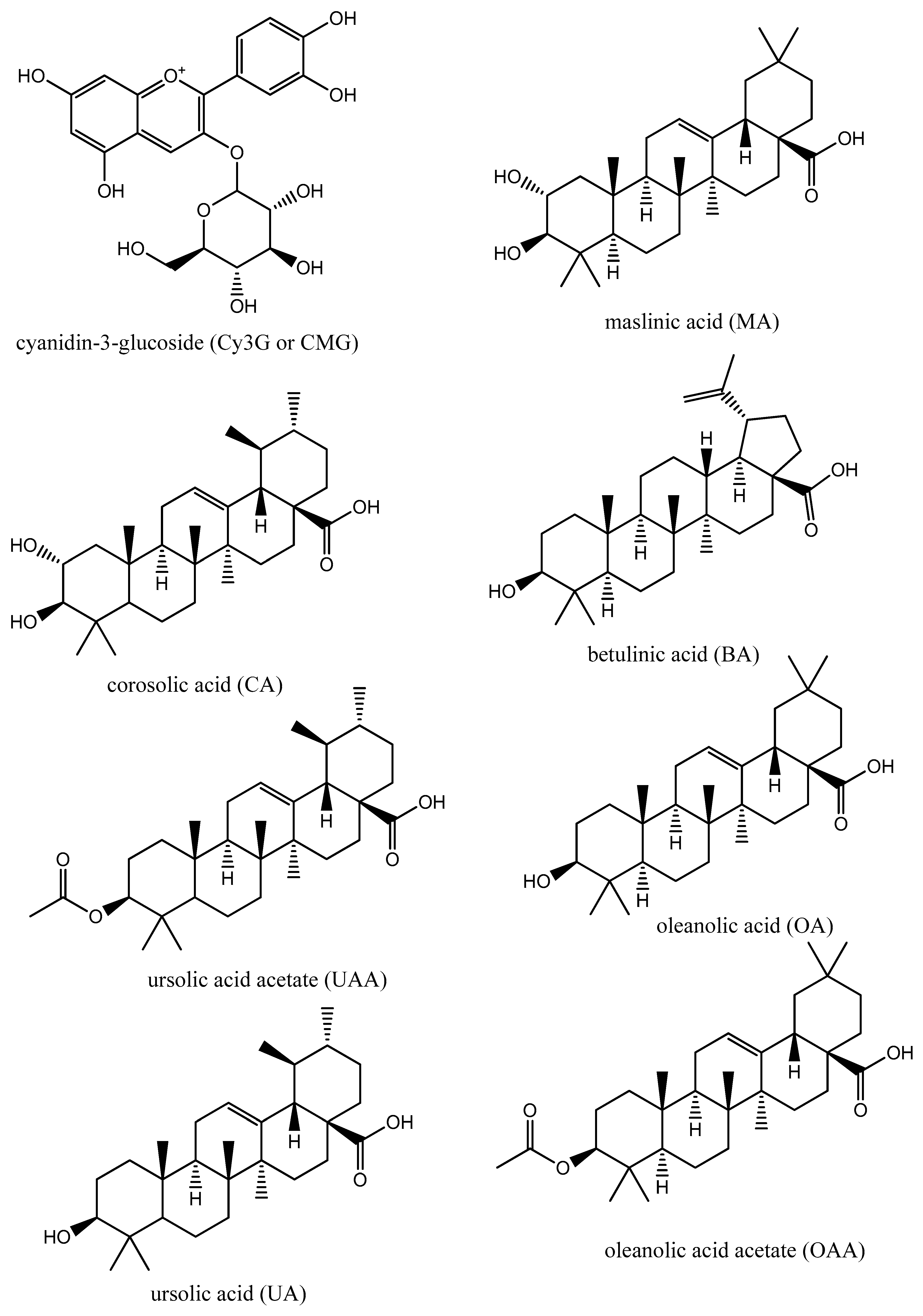 Metabolites 12 01155 g001
