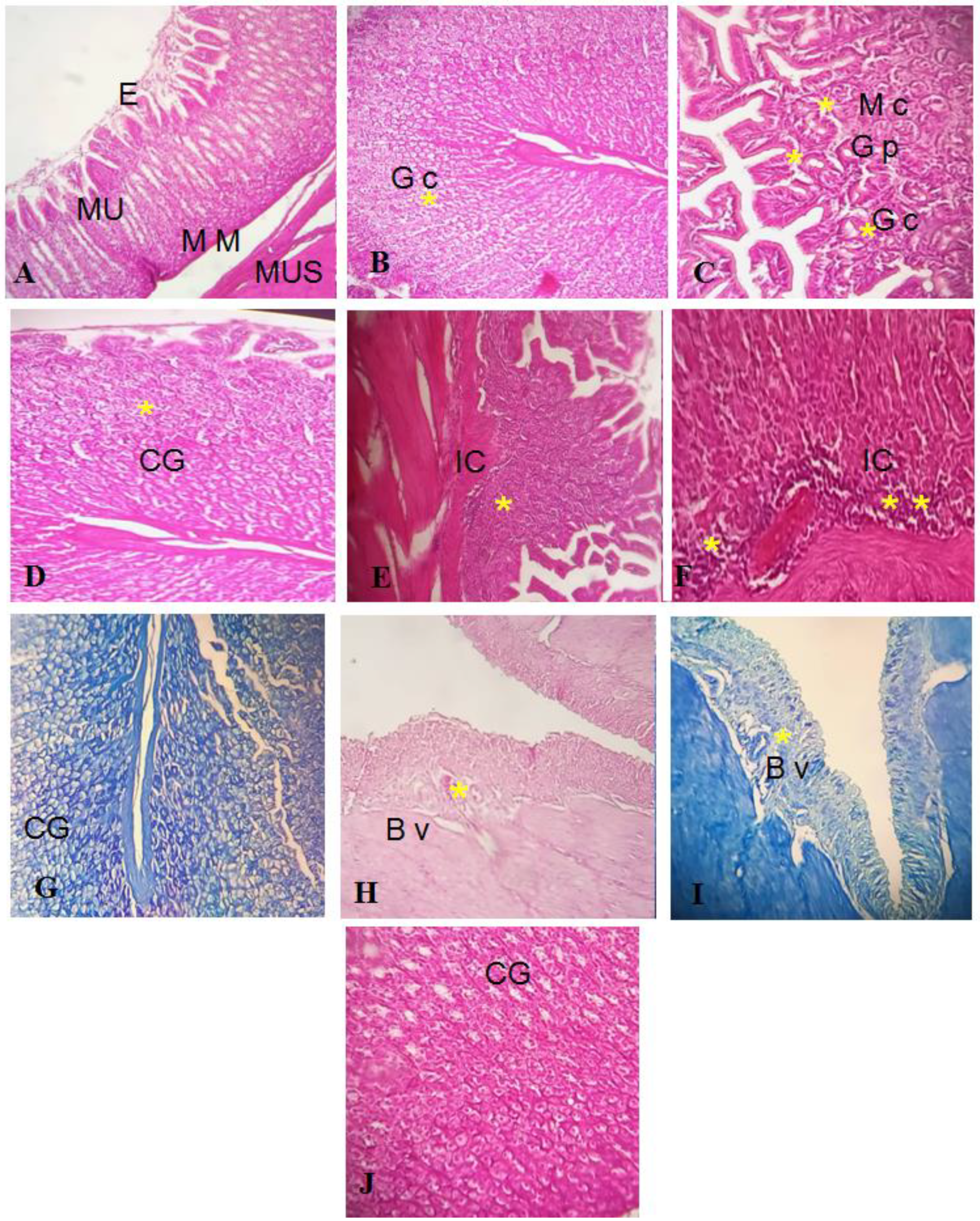 Metabolites 12 01158 g011 Metabolites 12 01158 g011