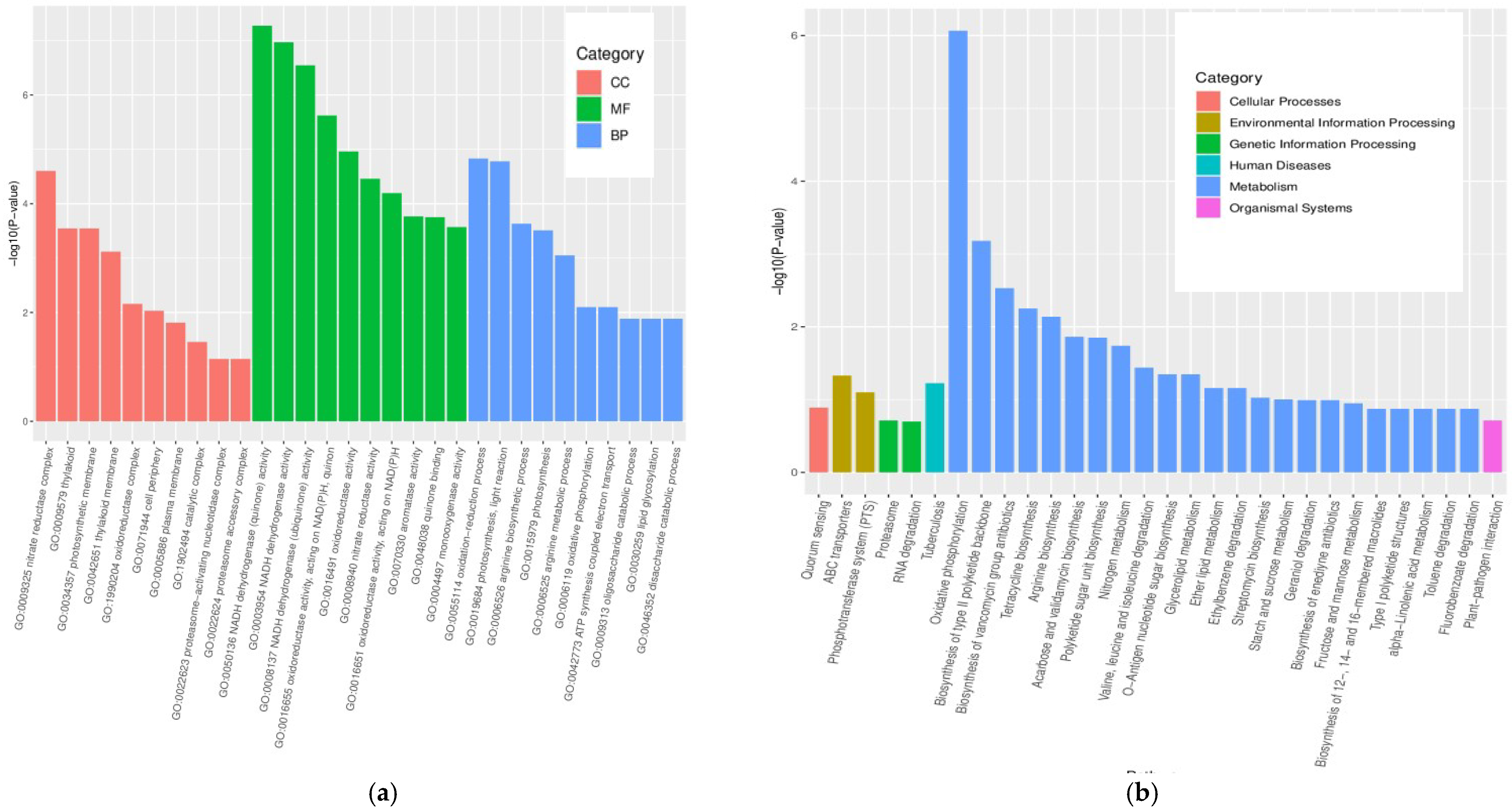 Metabolites 12 01170 g005