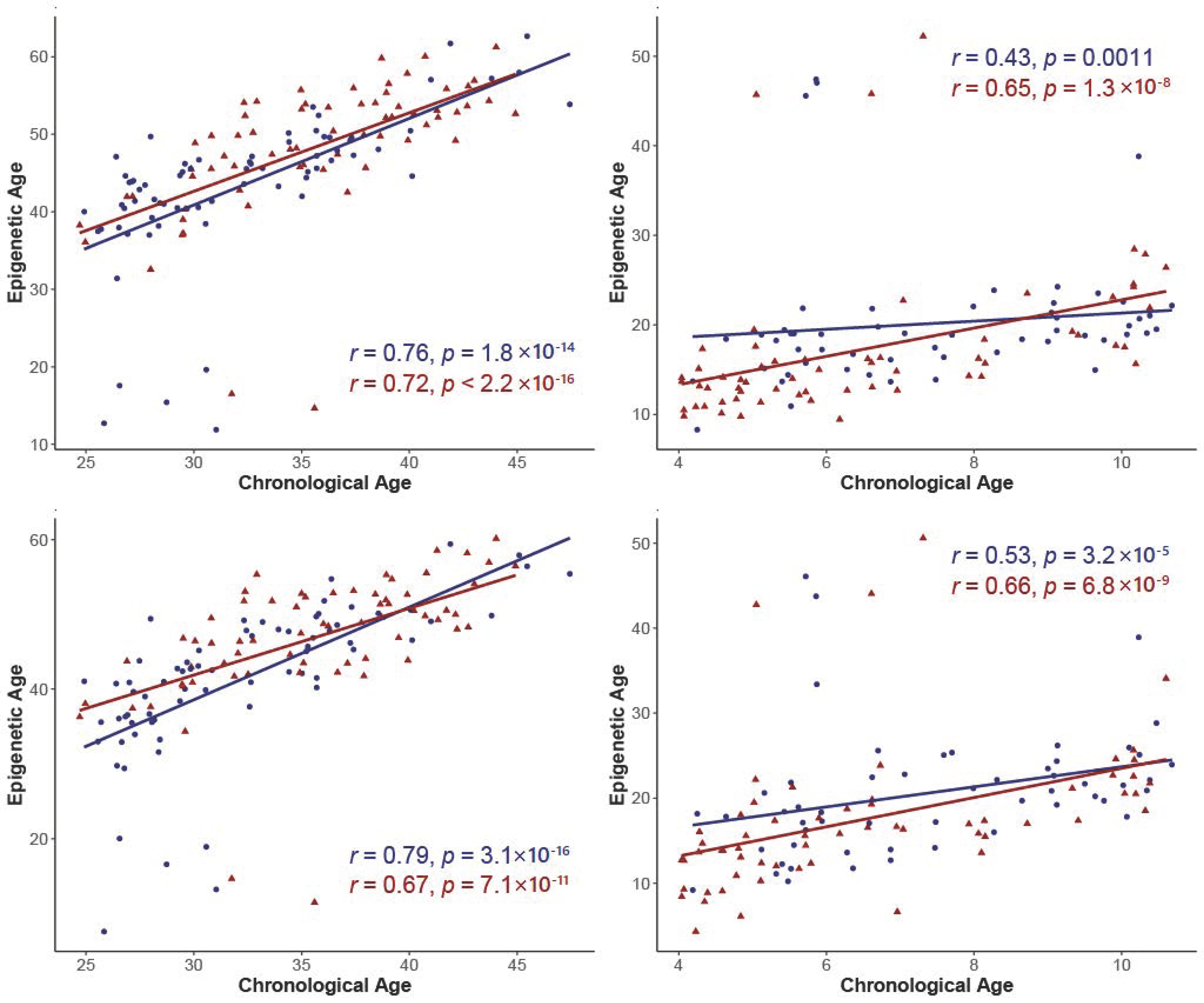 Metabolites 12 01226 g001