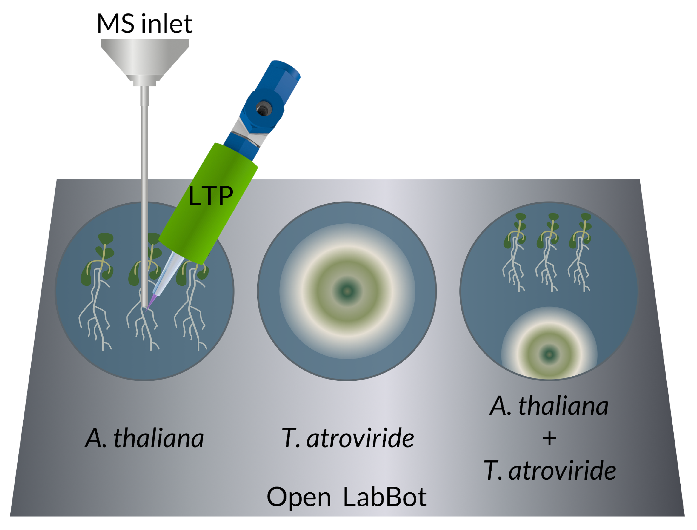 Metabolites 12 01231 g001