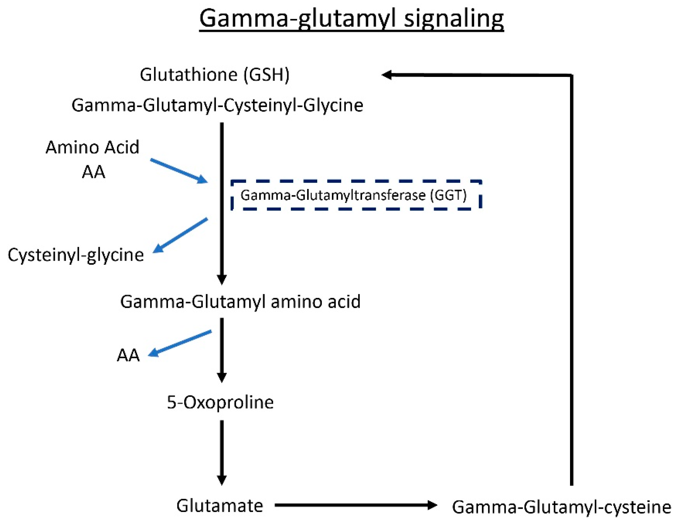 Metabolites 12 01253 g006