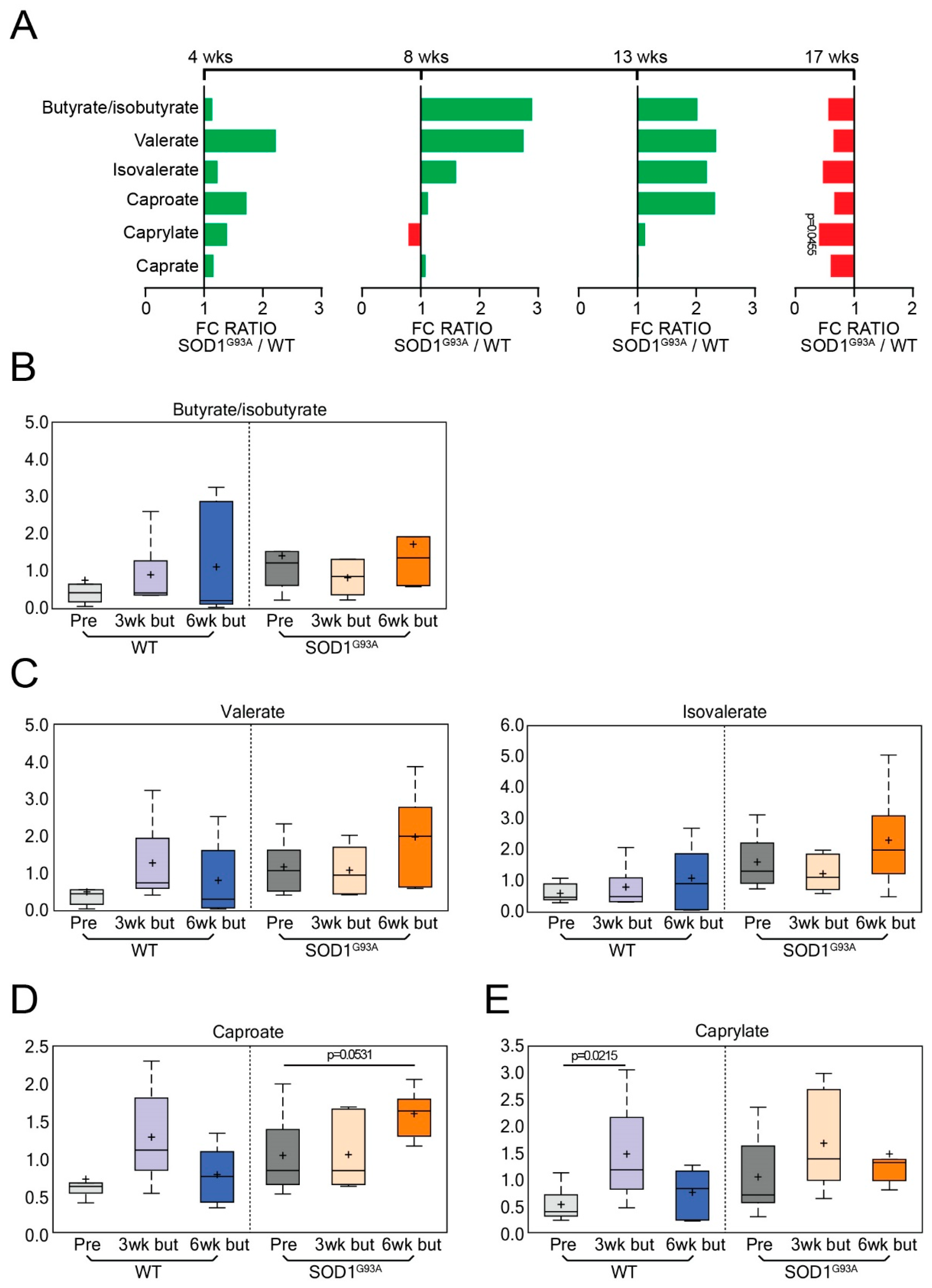 Metabolites 12 01253 g007