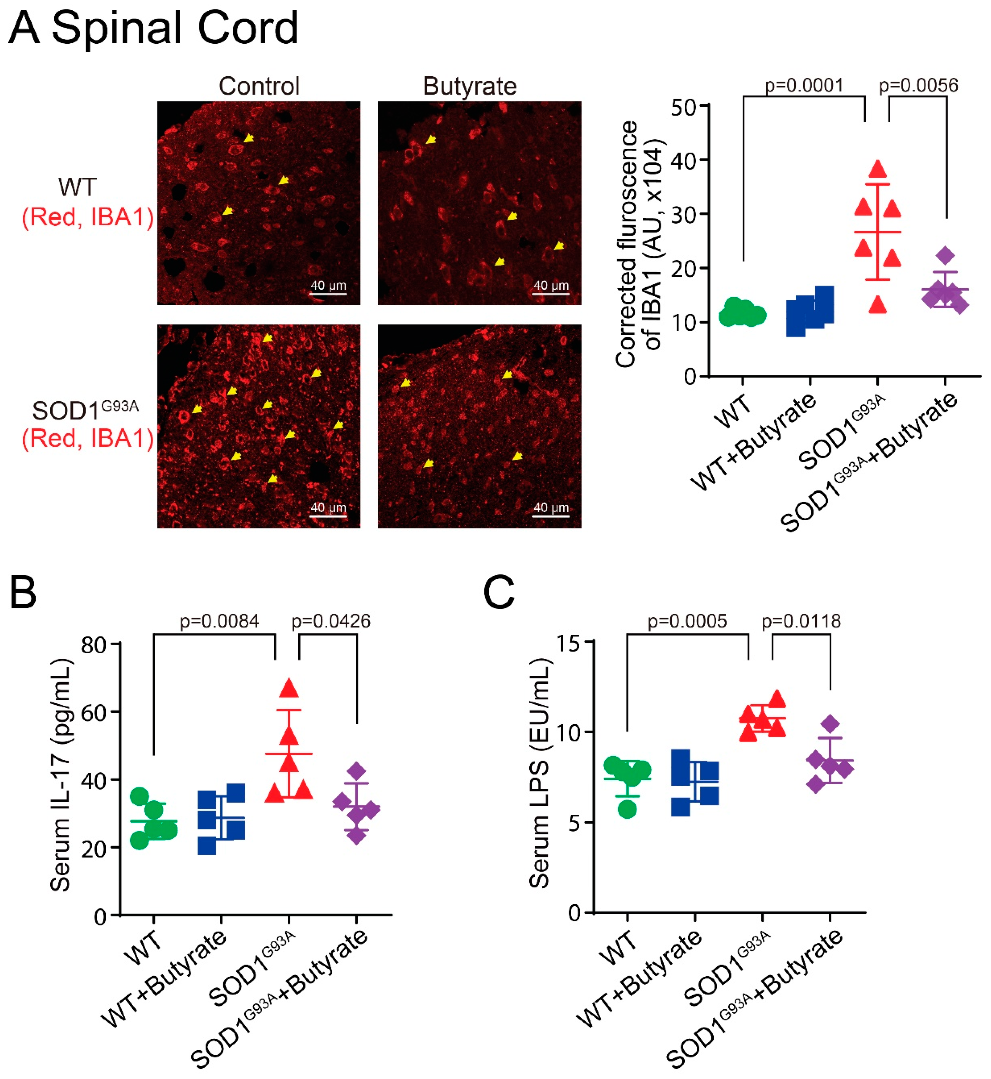 Metabolites 12 01253 g008