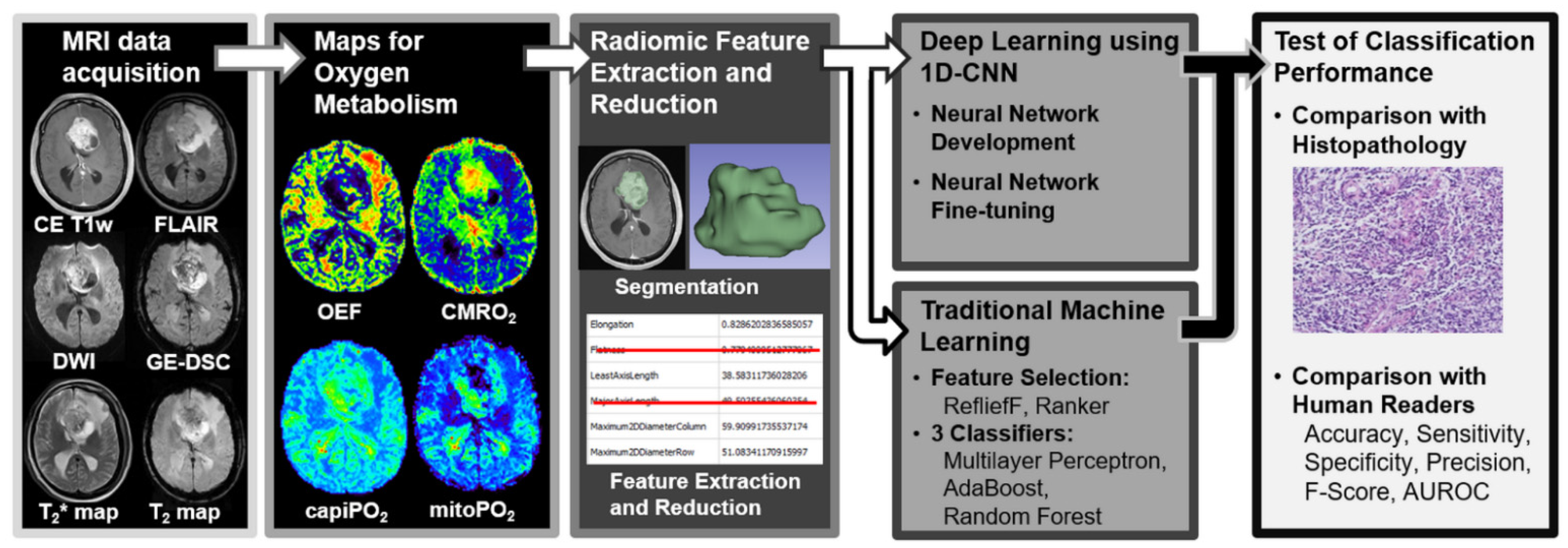 Magnetic Attraction: GE Researchers Tapping Healthcare Experience