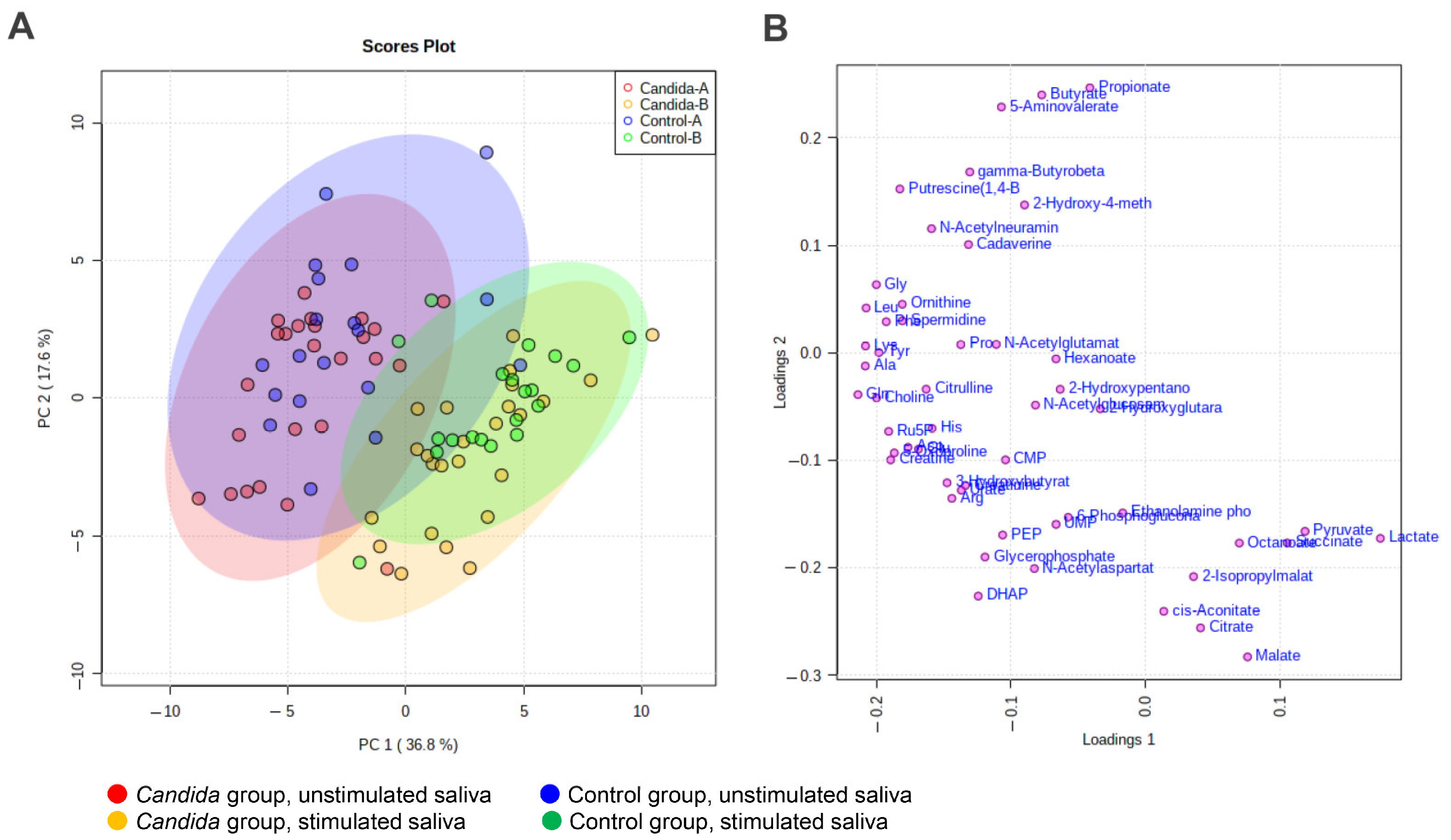 Metabolites 12 01294 g002