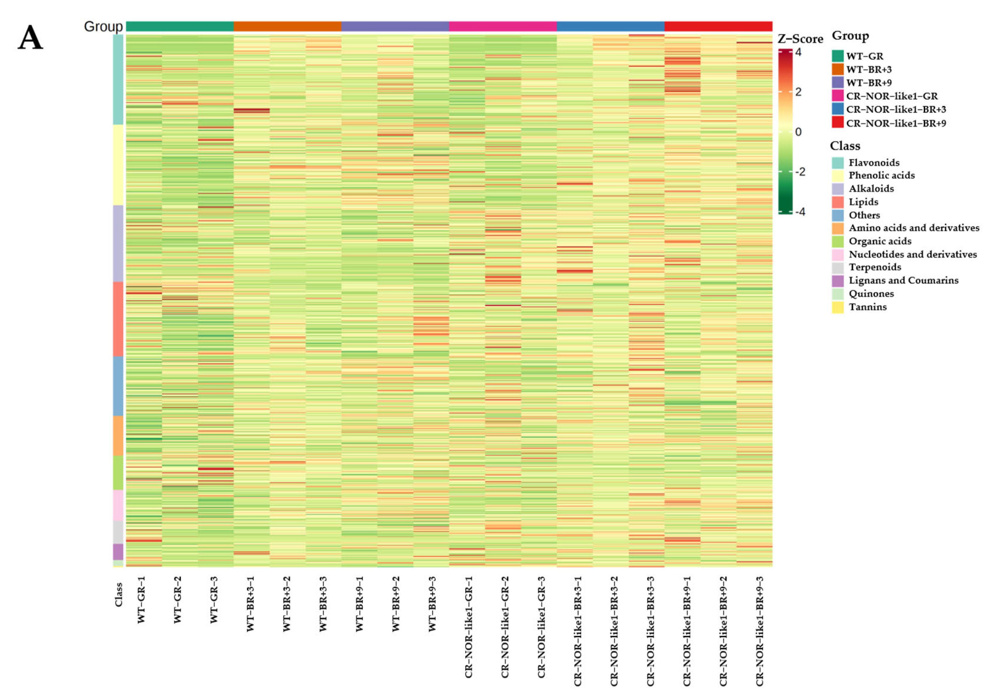 Metabolites 12 01296 g002a
