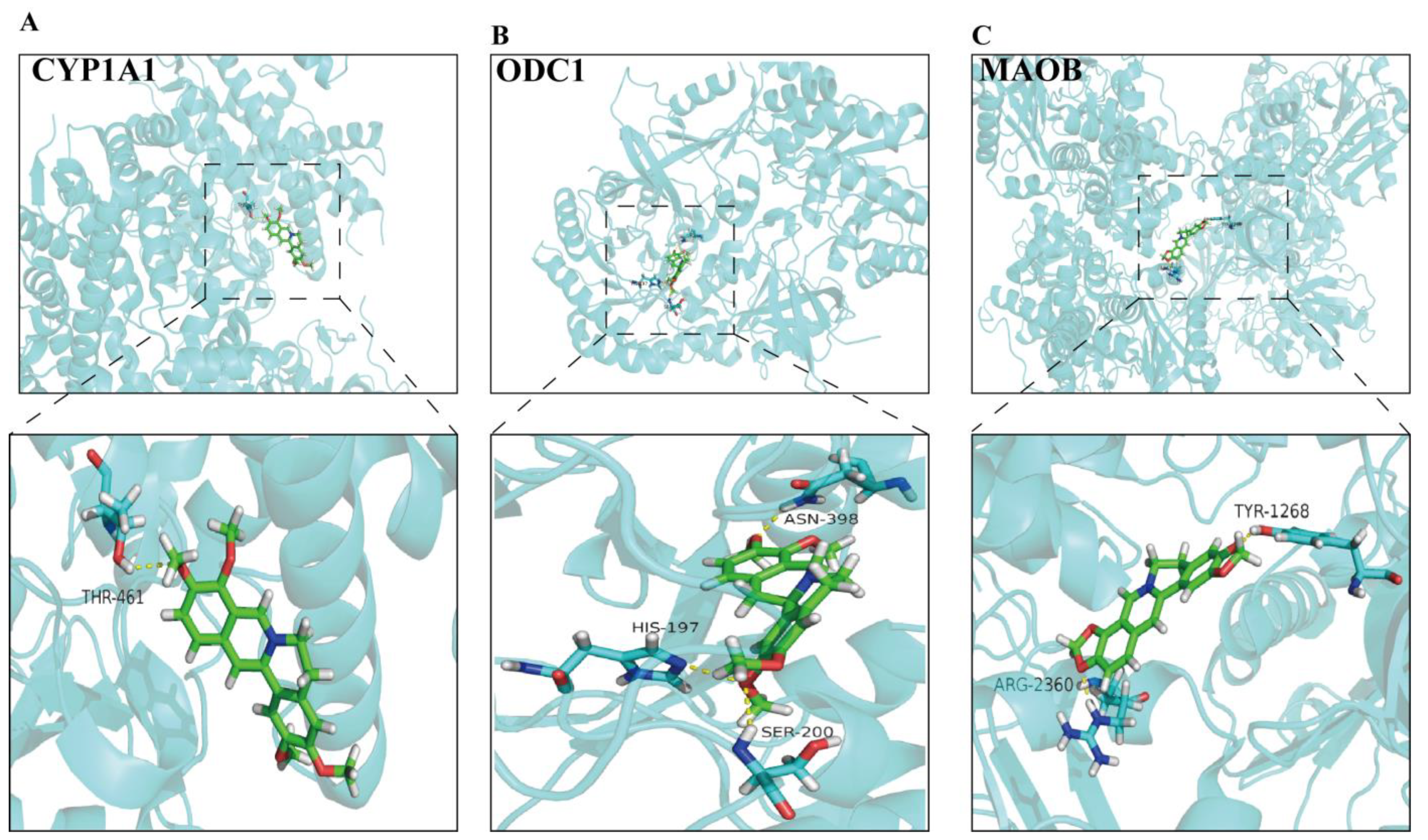 Metabolites 13 00009 g008