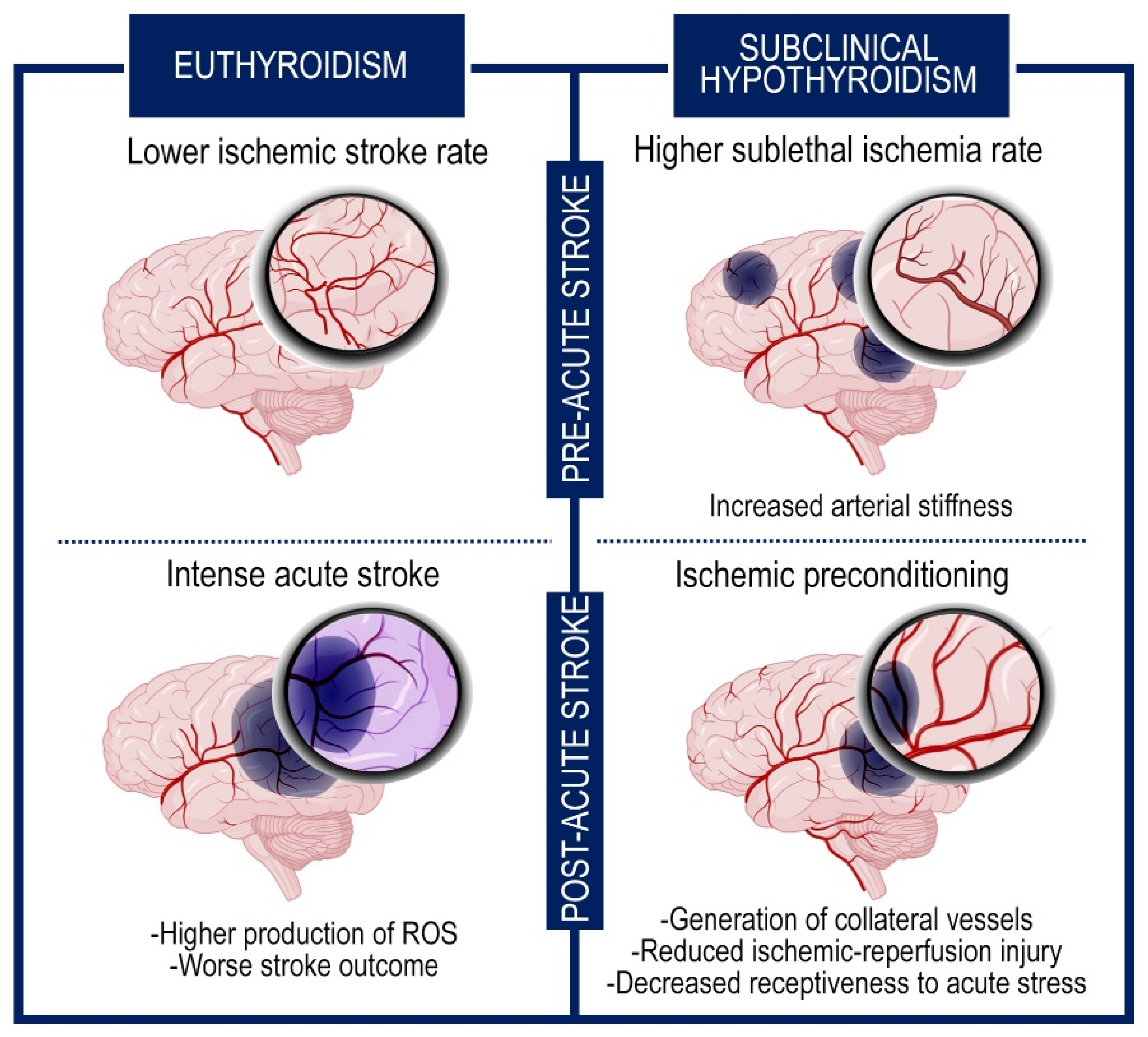 Metabolites 13 00022 g002