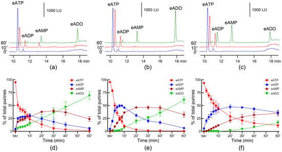 Metabolites | Free Full-Text | Urinary ATP Levels Are Controlled by  Nucleotidases Released from the Urothelium in a Regulated Manner