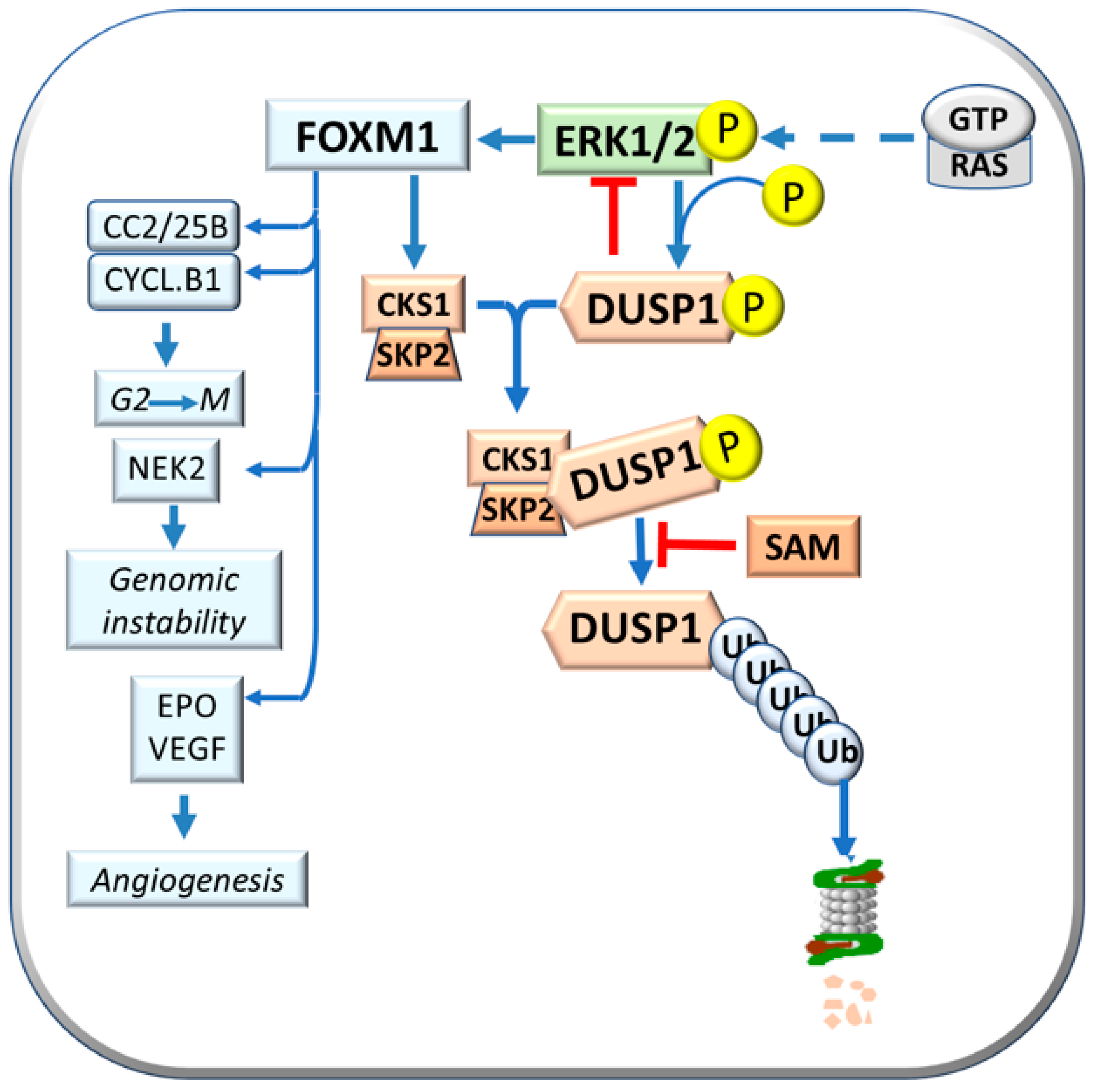 Metabolites 13 00035 g002 Metabolites 13 00035 g002