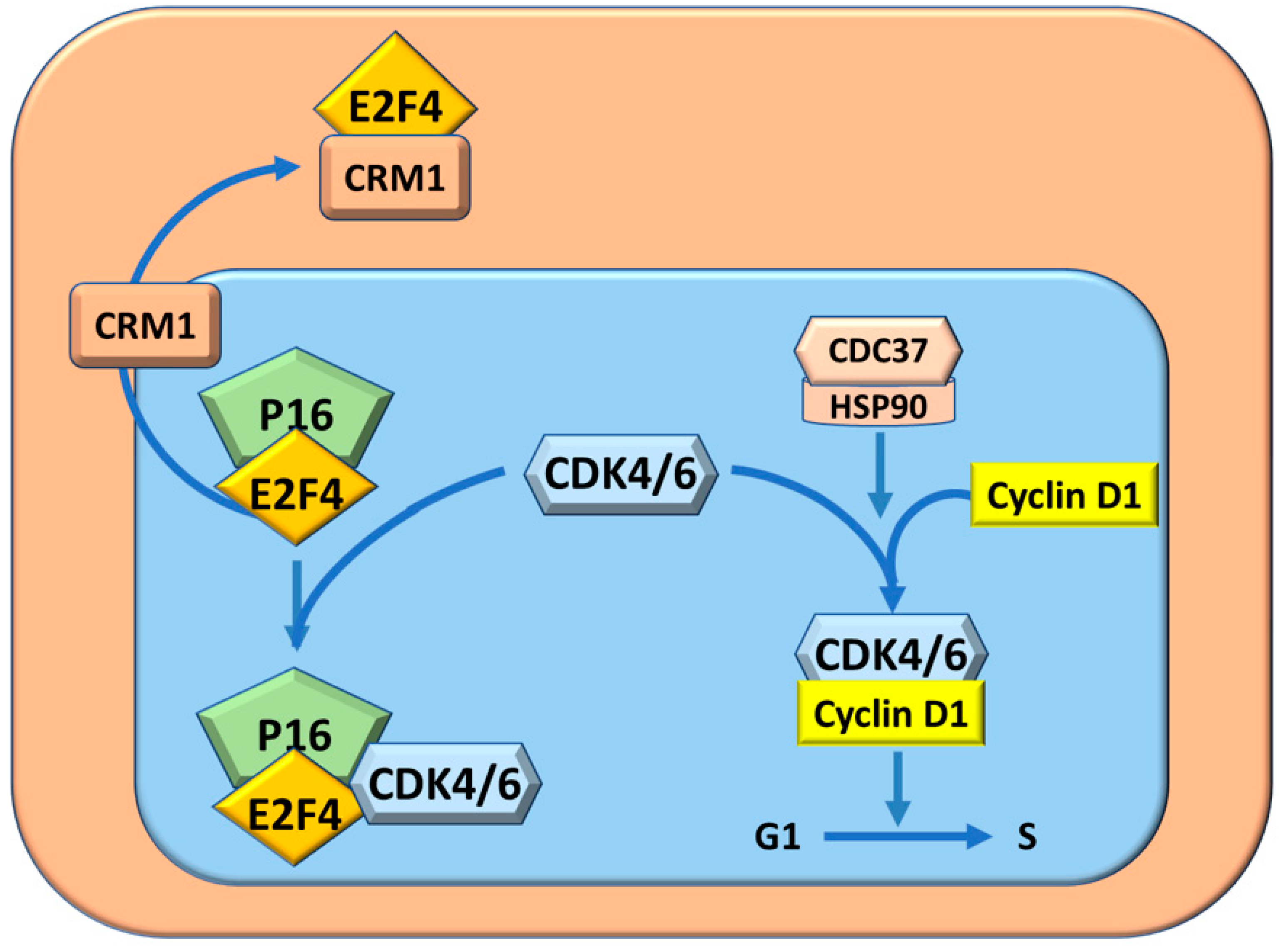 Metabolites 13 00035 g003 Metabolites 13 00035 g003