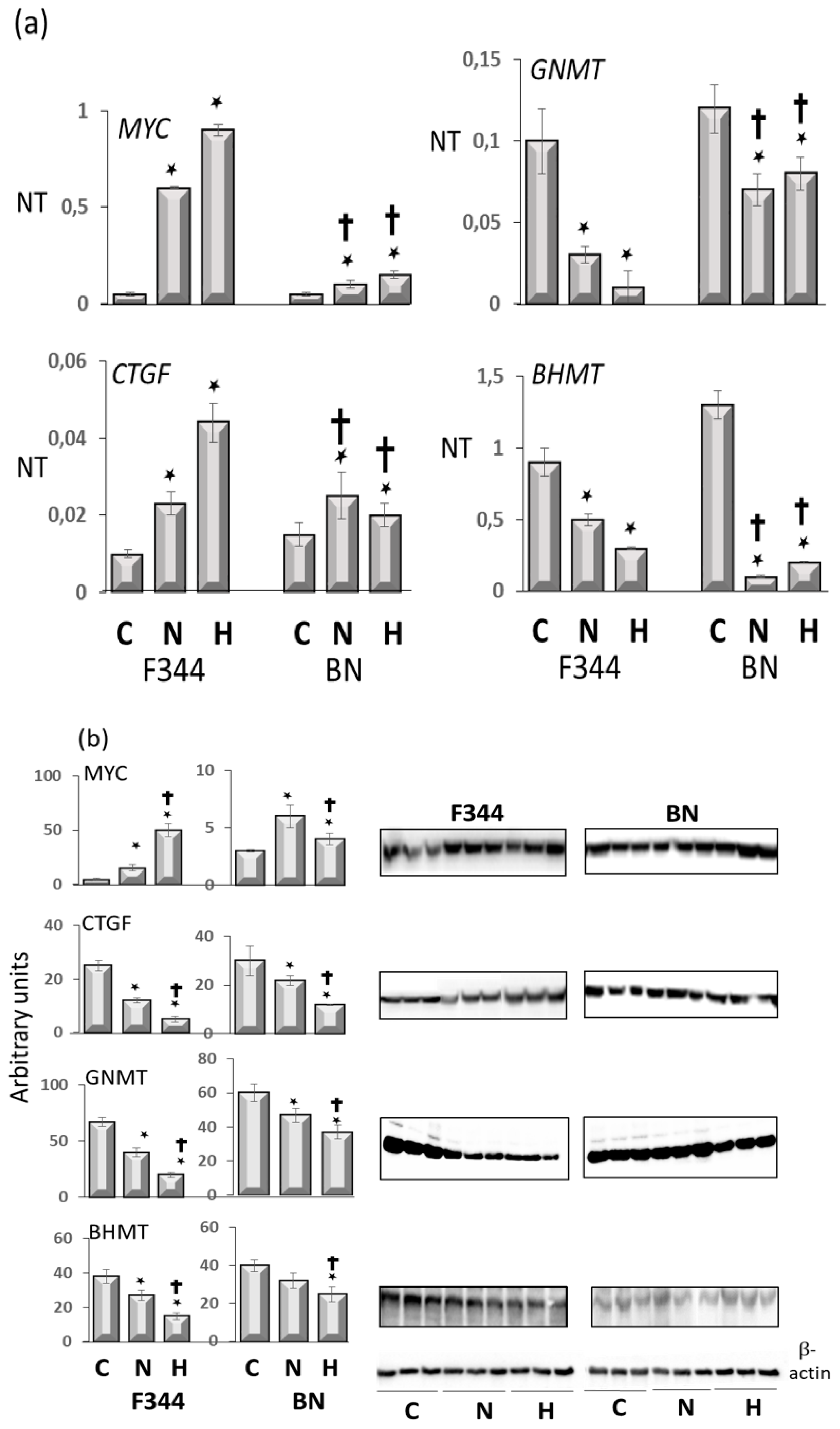 Metabolites 13 00035 g006 Metabolites 13 00035 g006