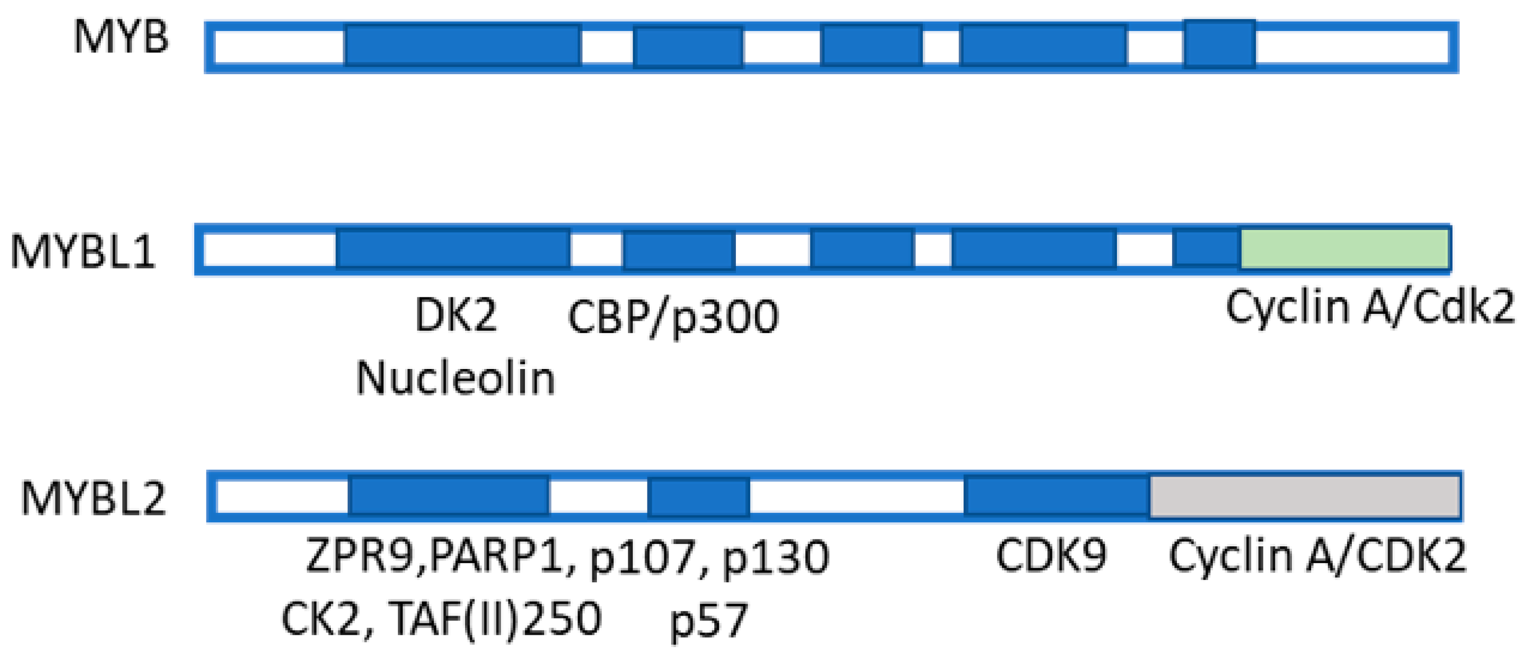 Metabolites 13 00035 g007 Metabolites 13 00035 g007