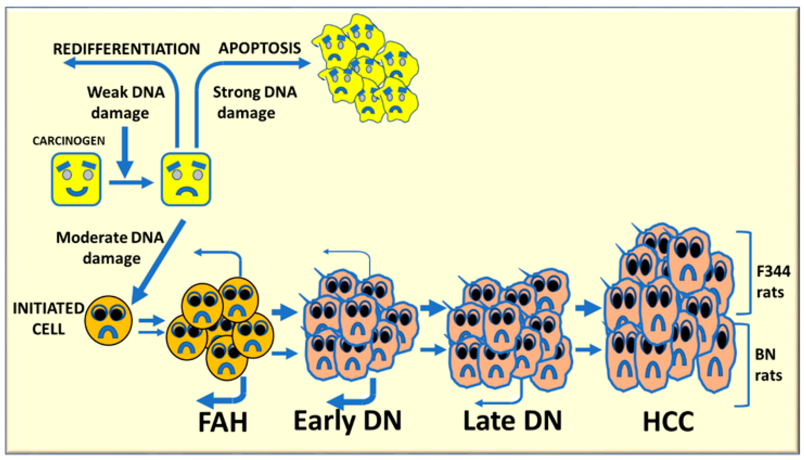 Metabolites 13 00035 g008 Metabolites 13 00035 g008