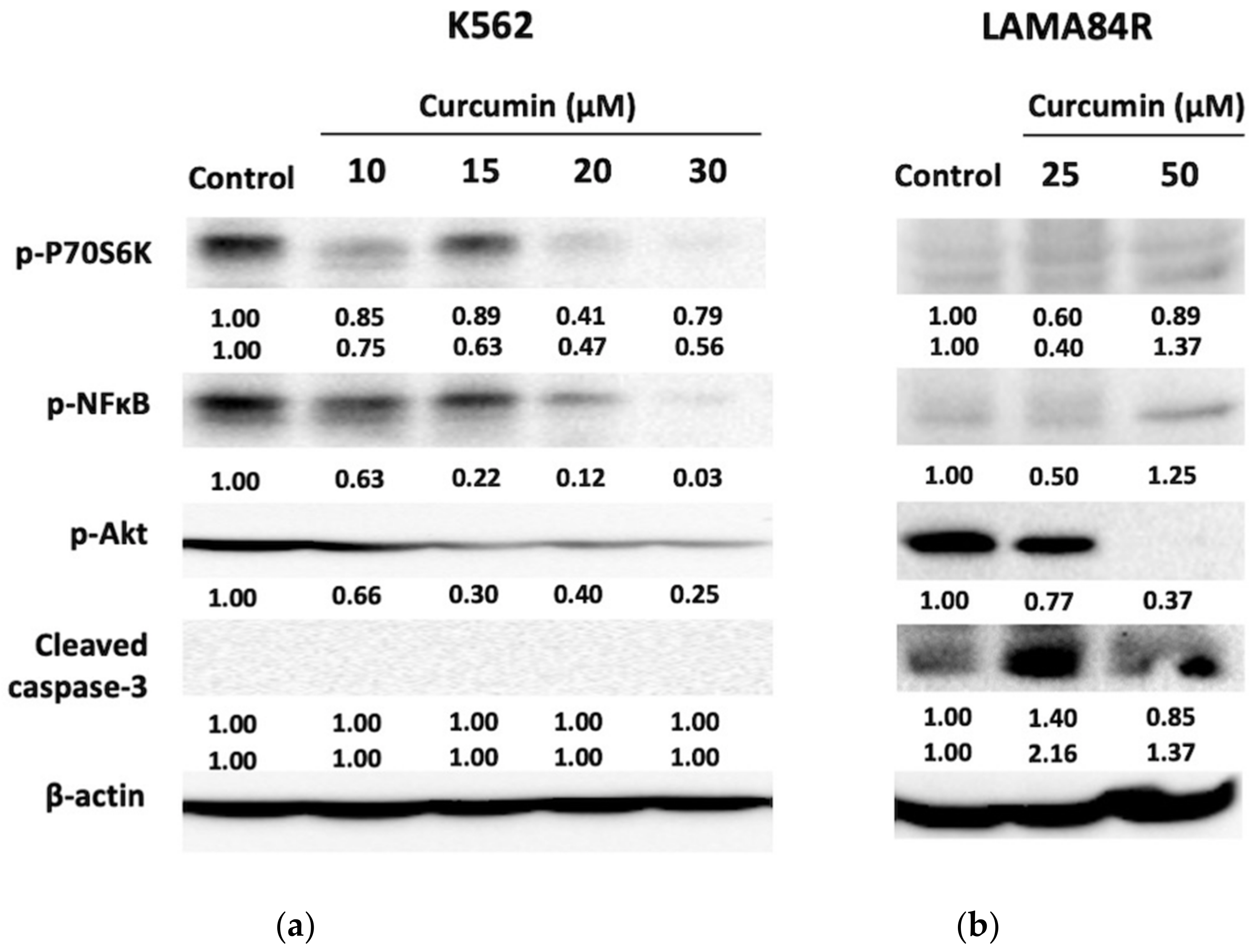 Metabolites 13 00058 g005 Metabolites 13 00058 g005
