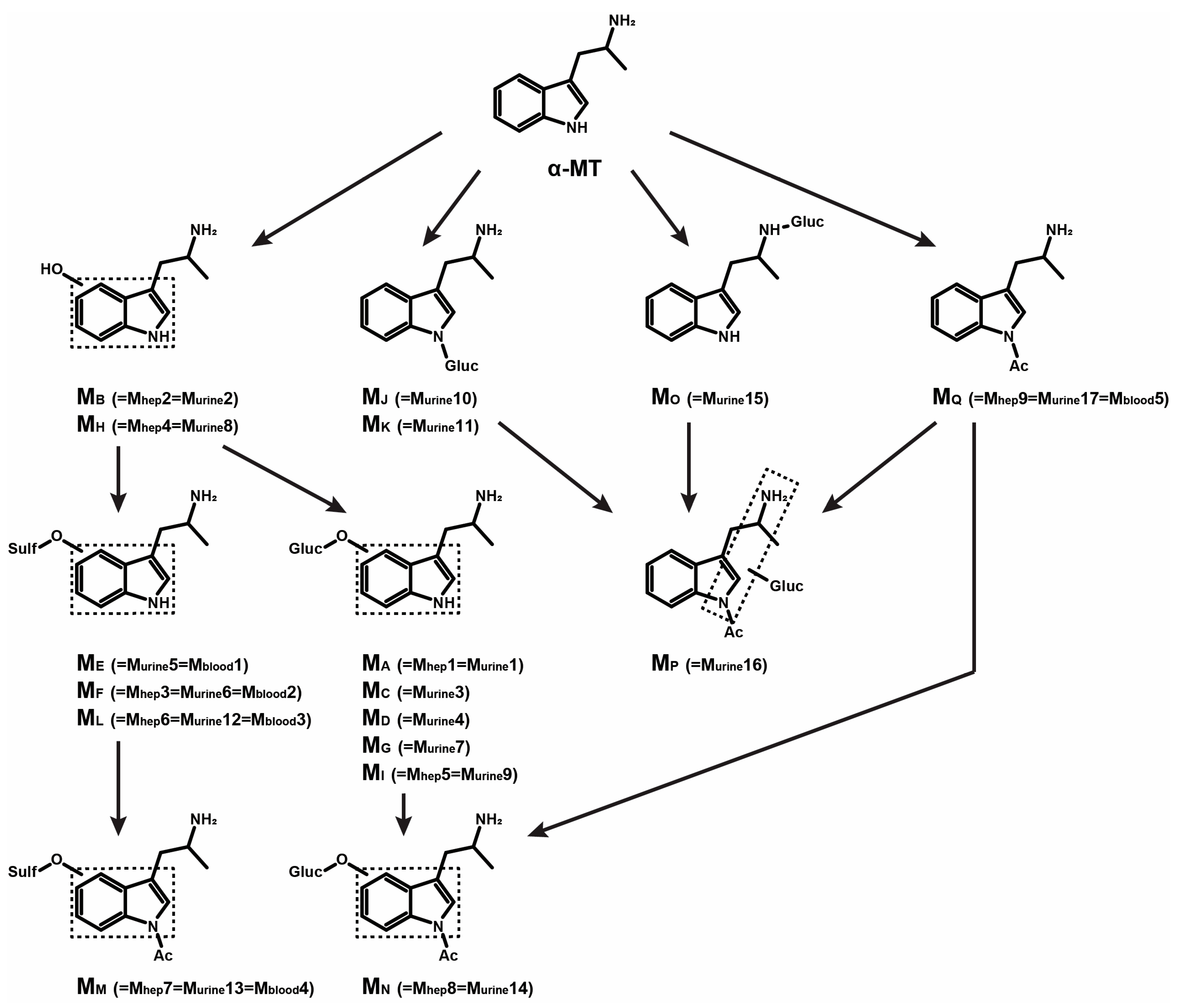 Metabolites 13 00092 g002