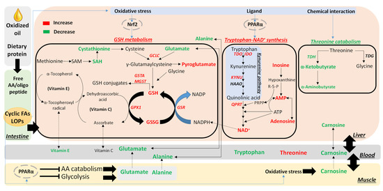 Metabolites 