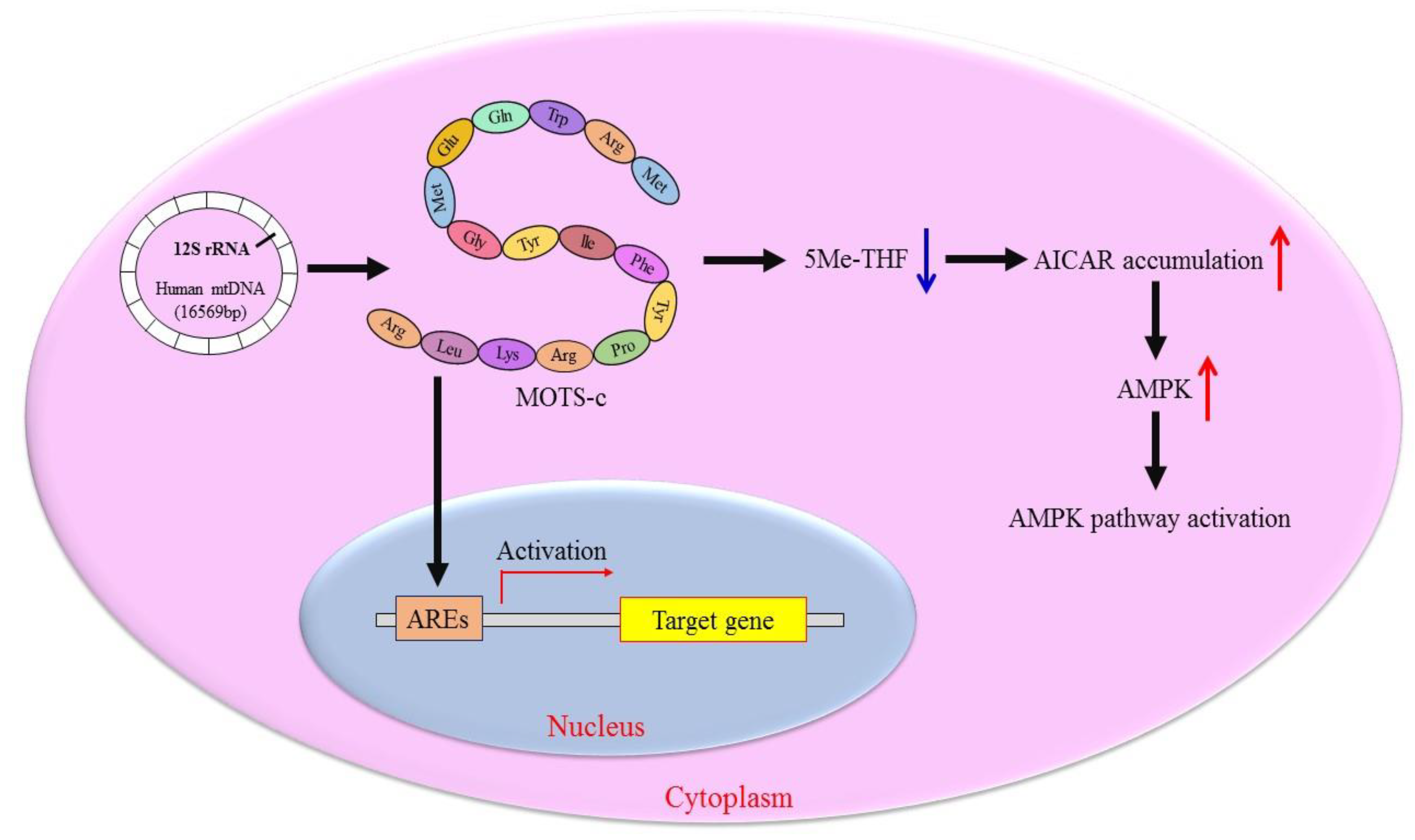 Metabolites 13 00125 g002